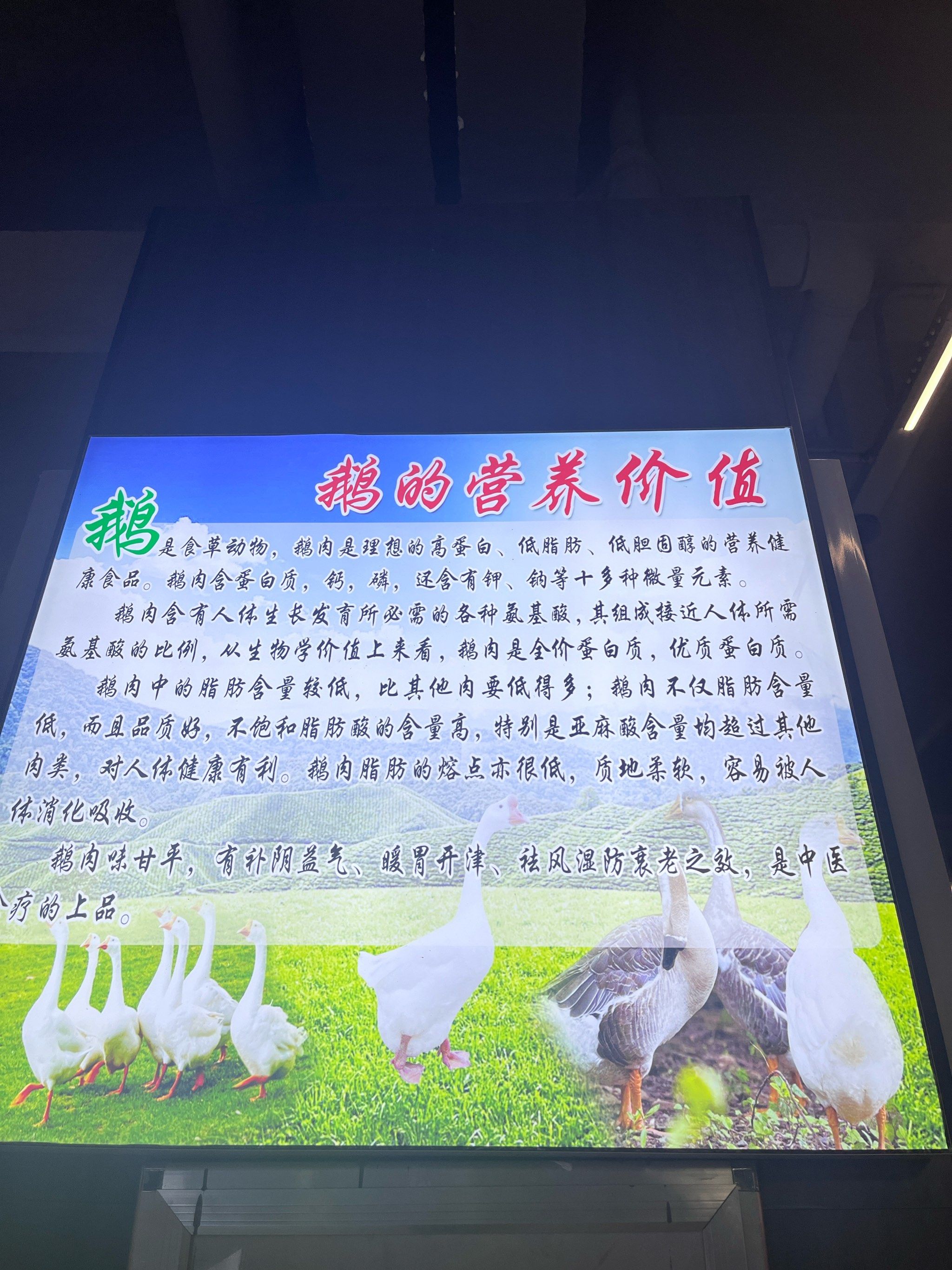 特色烧鹅简介(特色烧鹅简介50字)