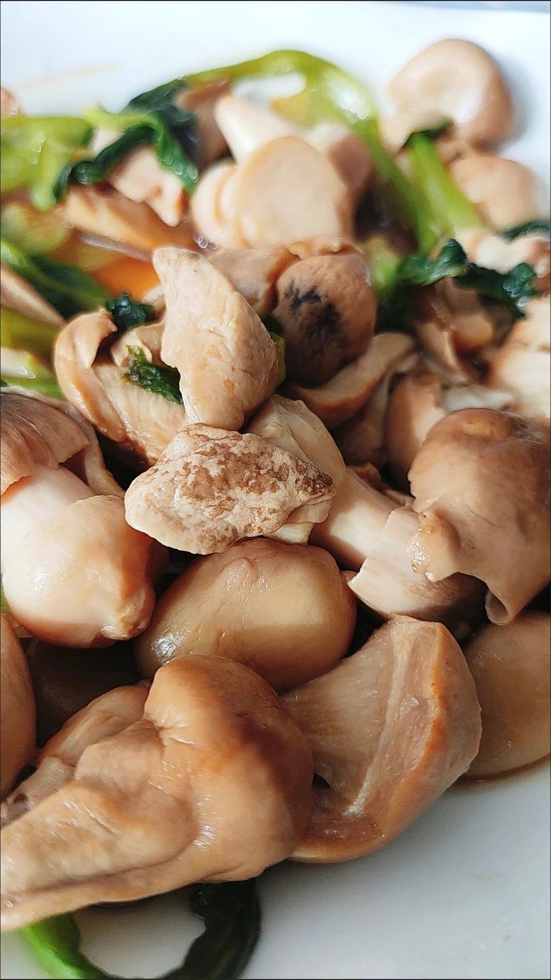 草菇凉菜(草菇做法大全)