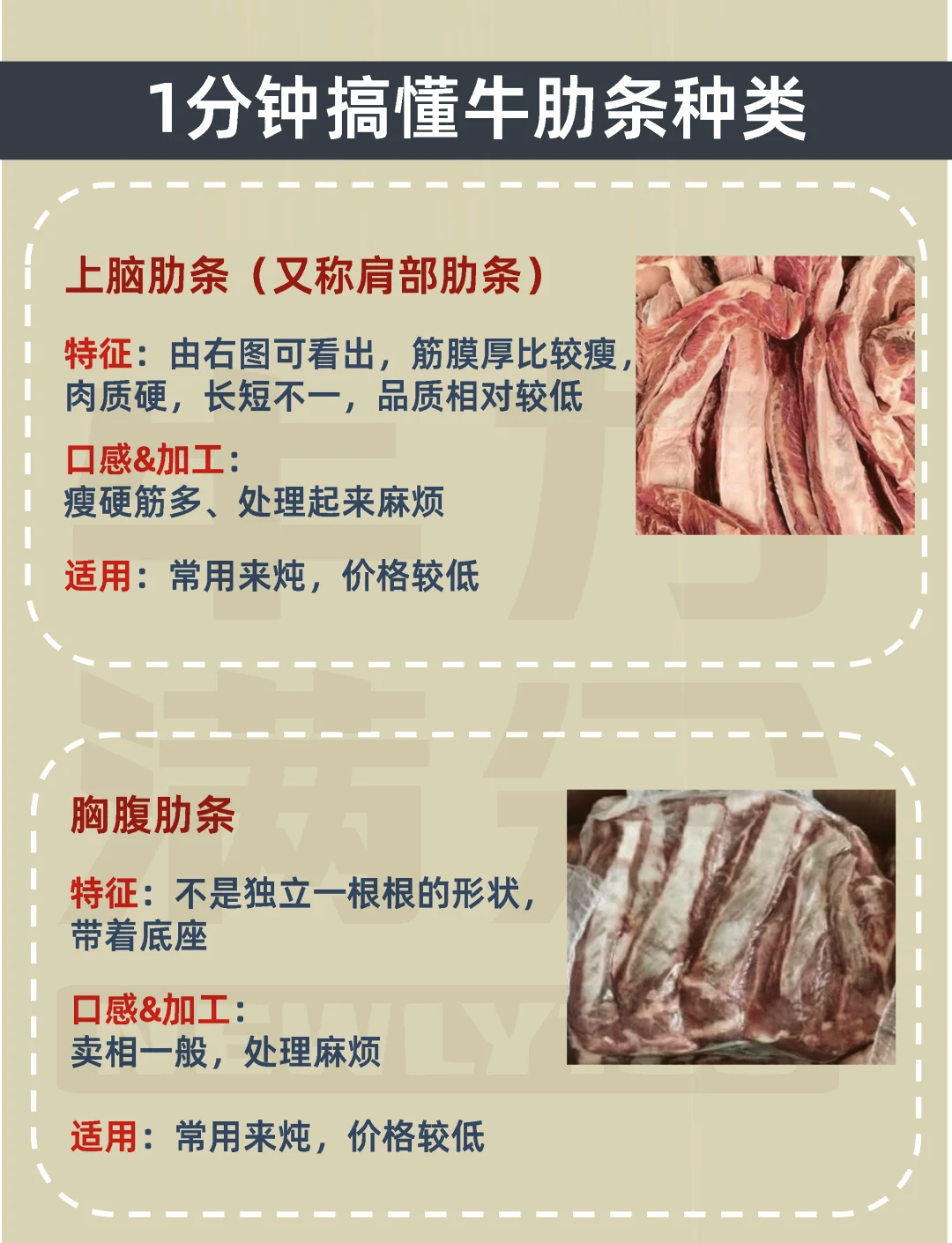 特色牛肋骨做法材料(特色牛肋骨的做法大全)