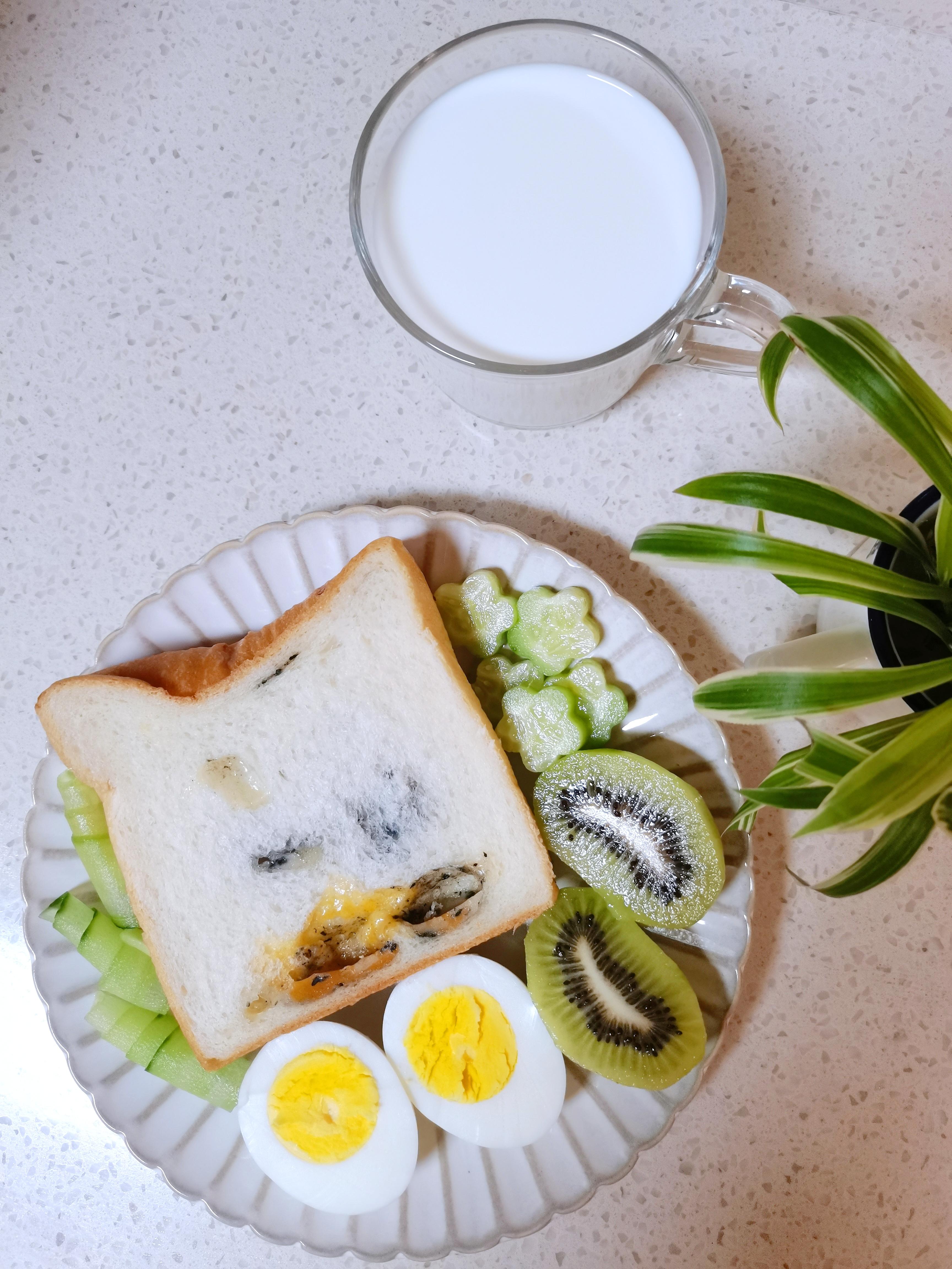 备孕早餐科学(备孕早餐吃什么好 比较有营养的)