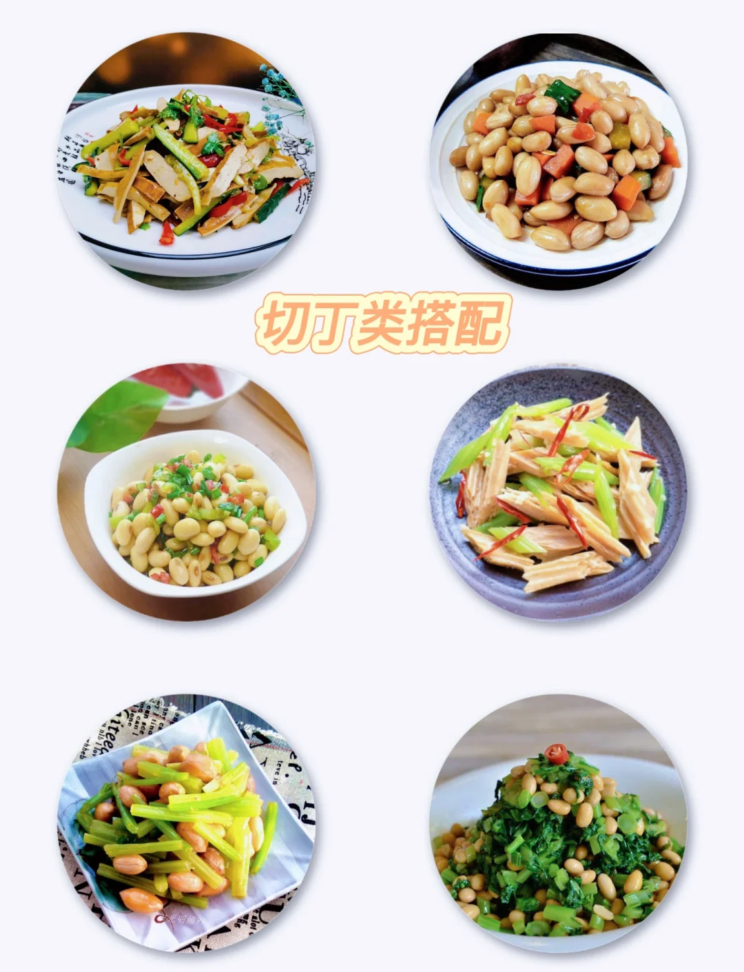 酒店凉菜菜谱素菜(酒店凉菜怎么做才好吃)