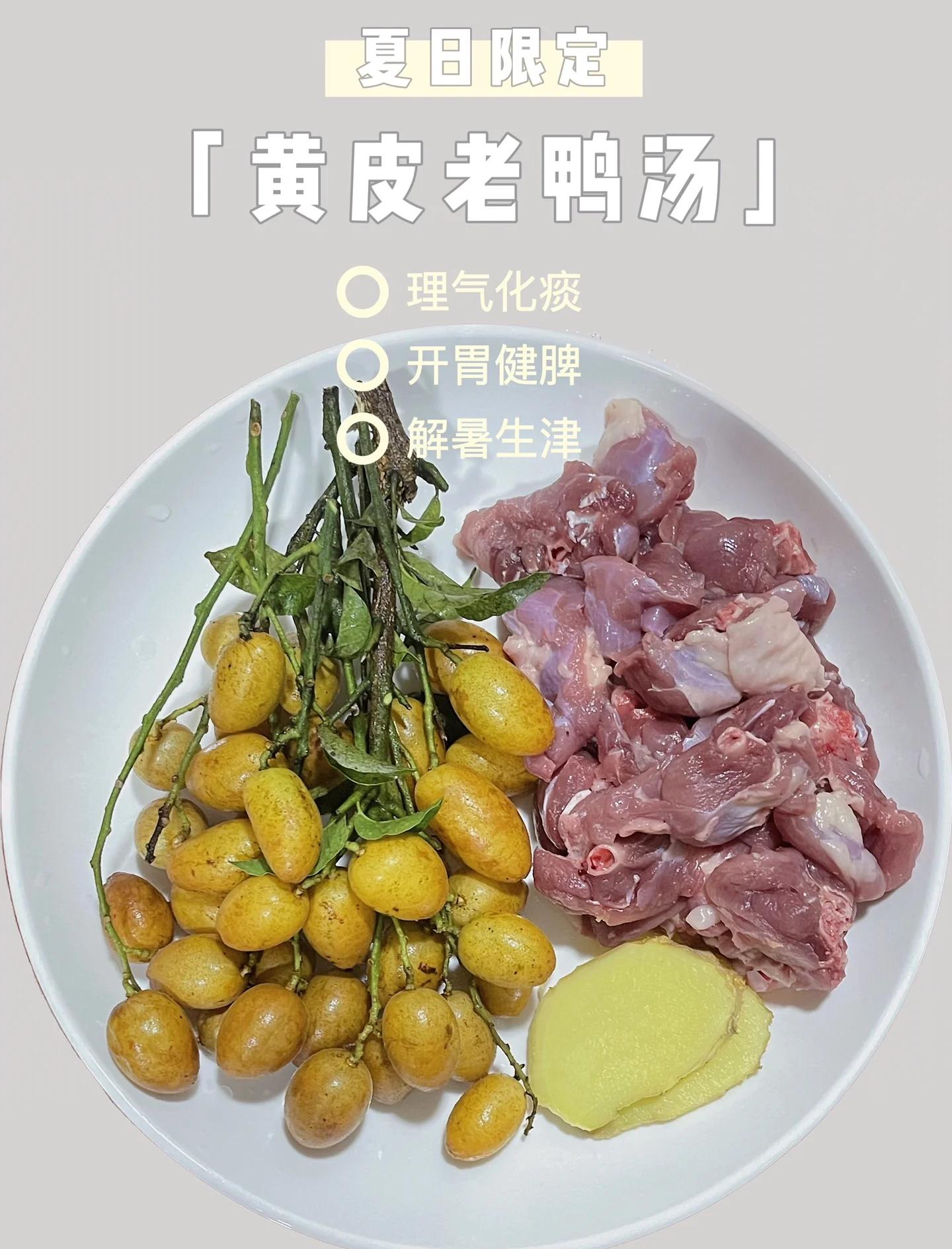 鸭汤广东特色做法(广东煲鸭汤的滋补做法大全窍门)