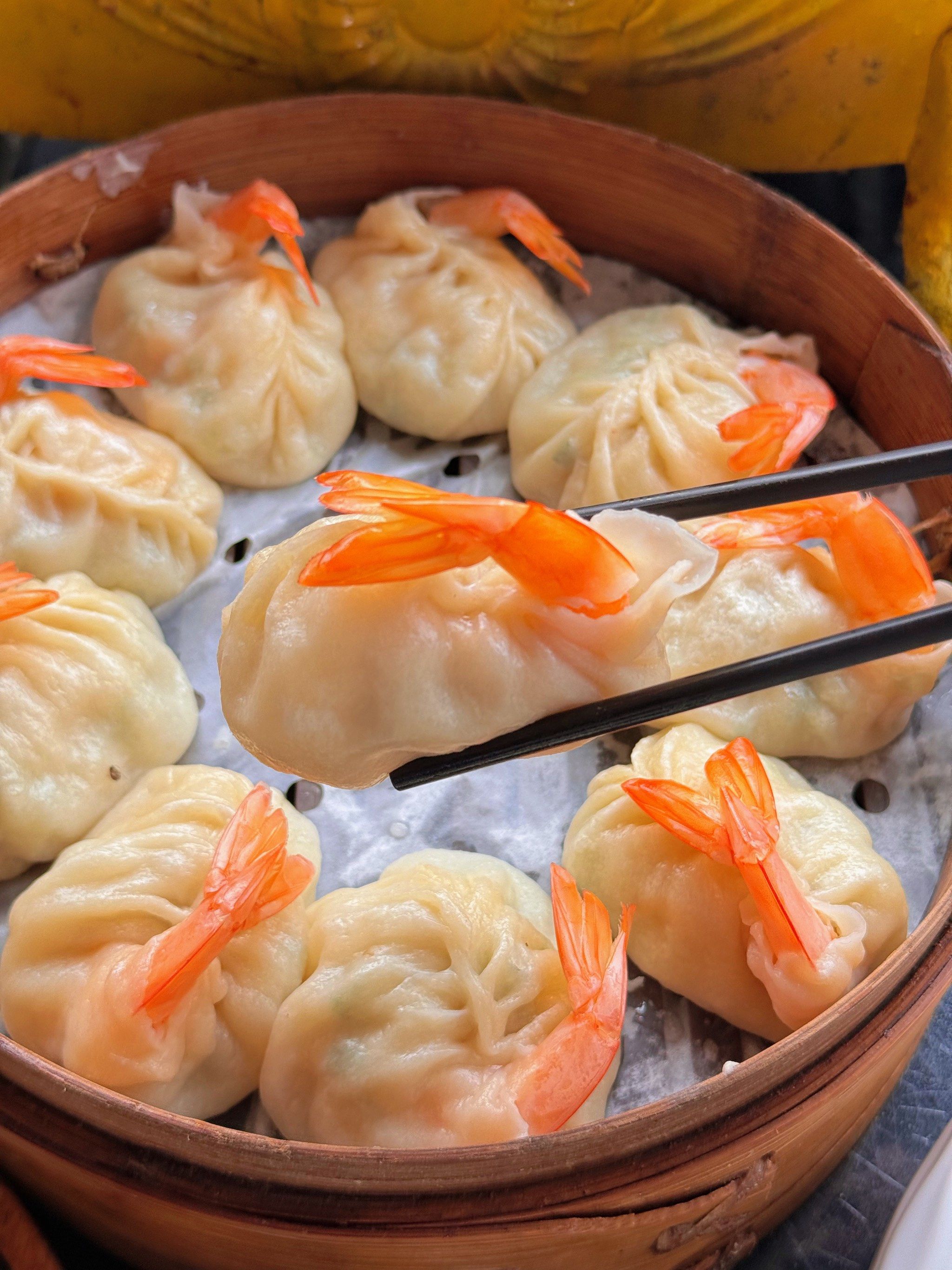 蒸煎饺的特色(煎蒸饺的做法大全)