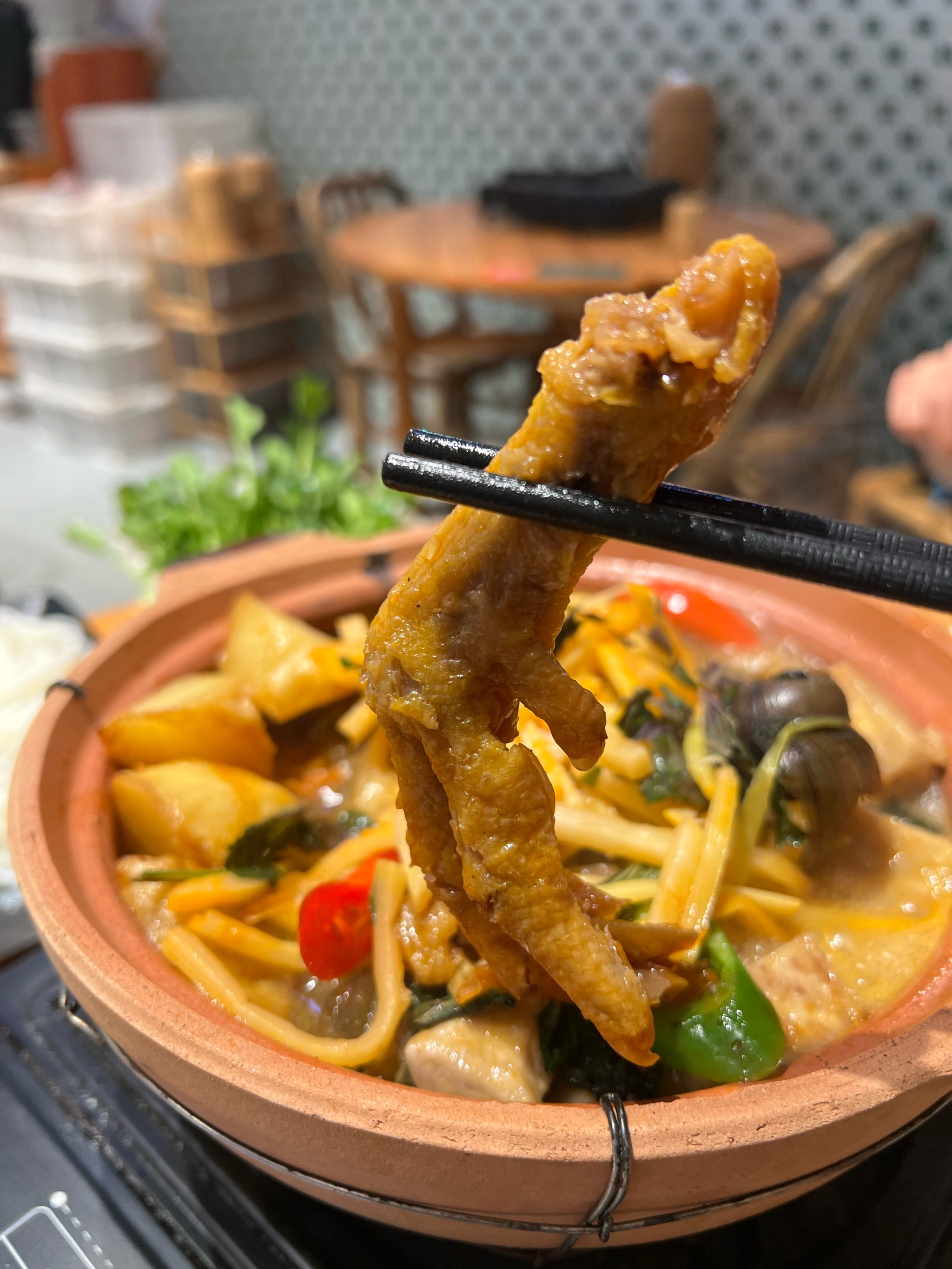 家常田螺鸭脚煲的做法(田螺鸭脚煲怎么做才好吃)