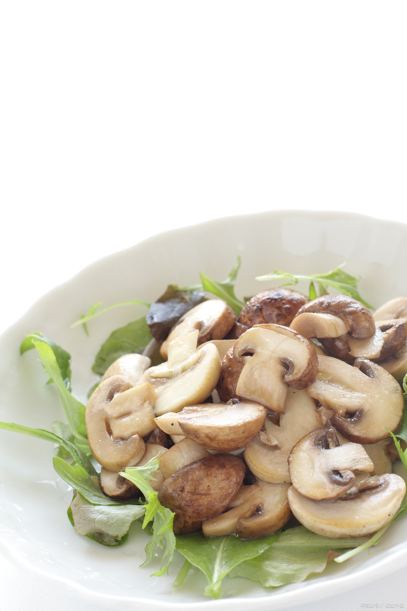 素菜素(素菜素饭有什么)