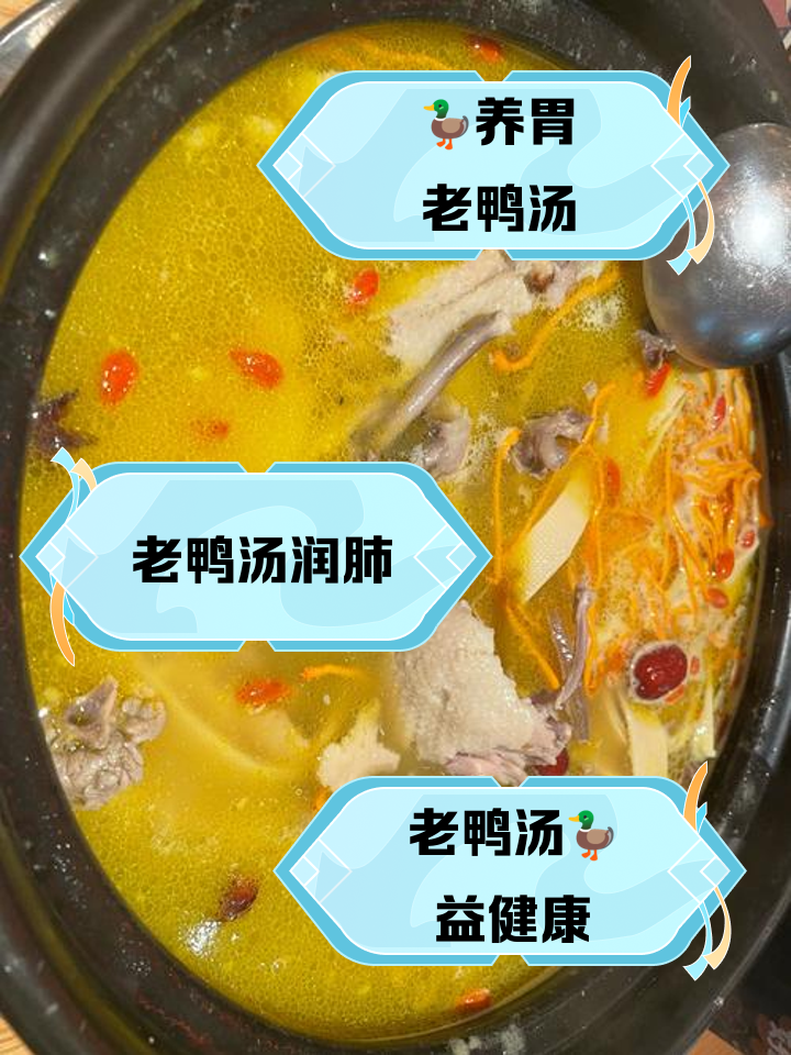 鸭肉汤的家常做法(鸭肉汤的家常做法大全)