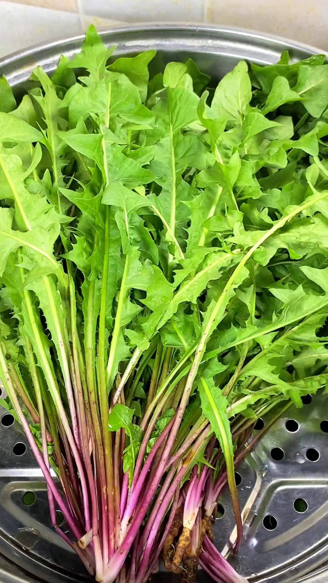 蒲公英根怎样拌凉菜(蒲公英凉拌怎么做好吃窍门)