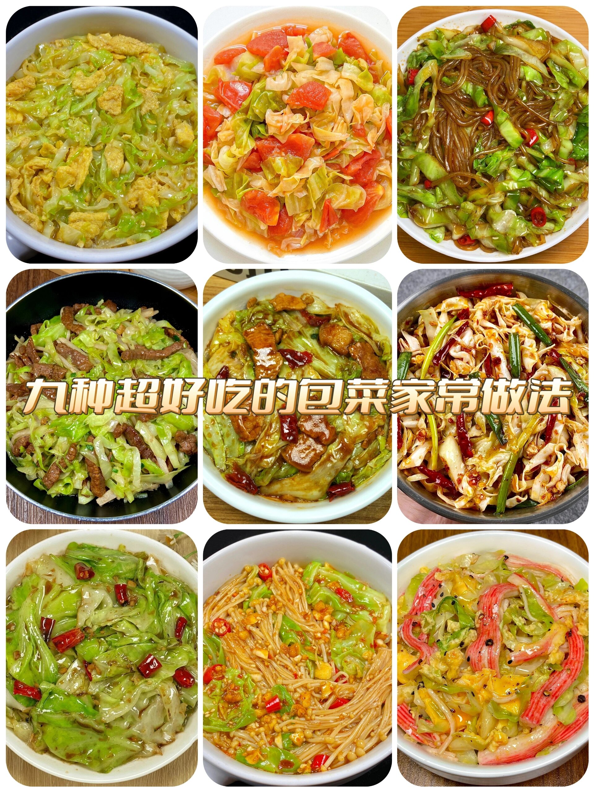 包菜的特色做法大全(包菜的做法 最正宗的做法)