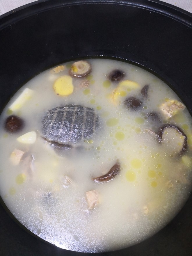 炖甲鱼汤加什么素菜(炖甲鱼汤加什么素菜好吃)