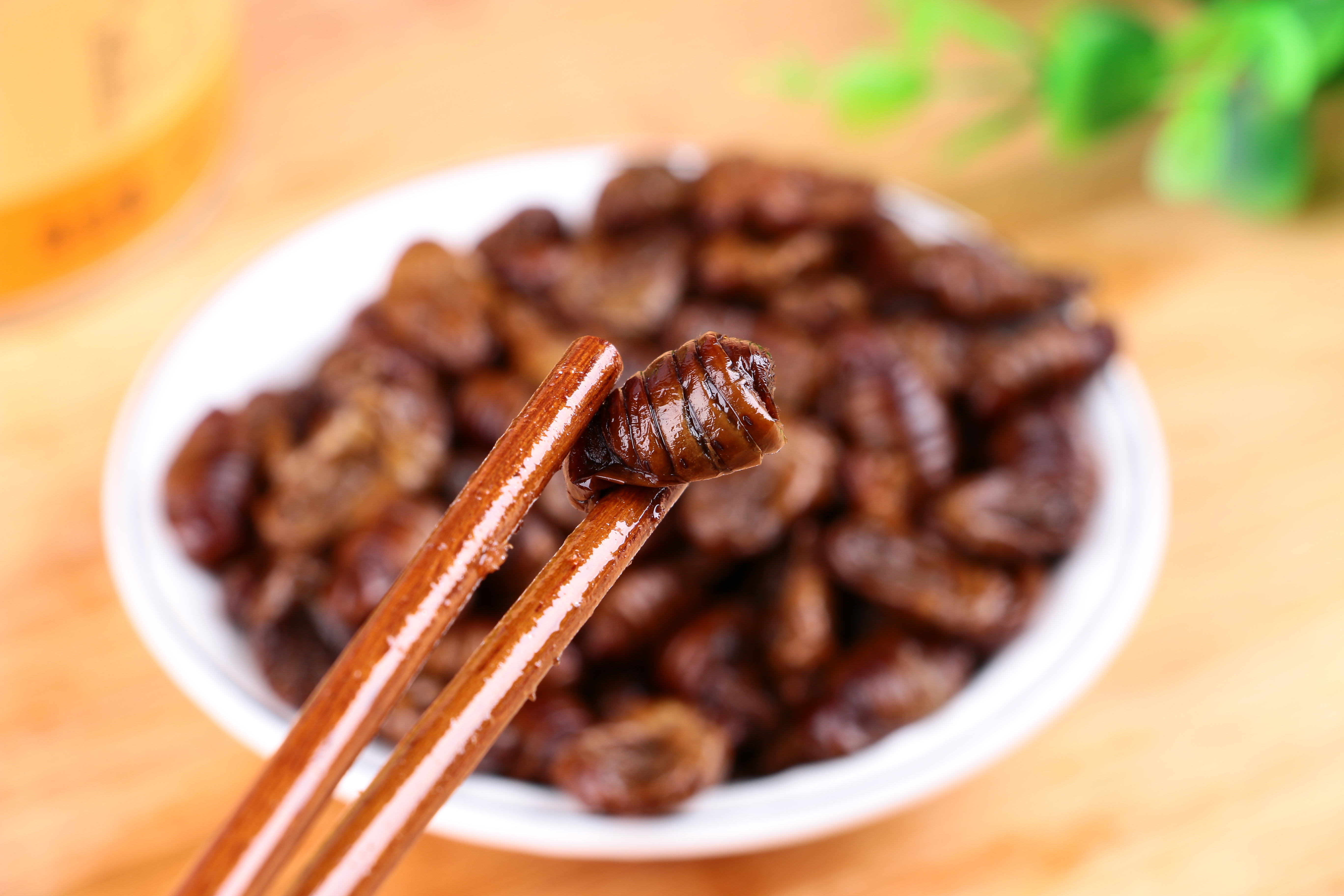 煮蚕蛹家常做法(煮蚕蛹需要什么材料) 煮蚕蛹家常做法(煮蚕蛹需要什么材料)