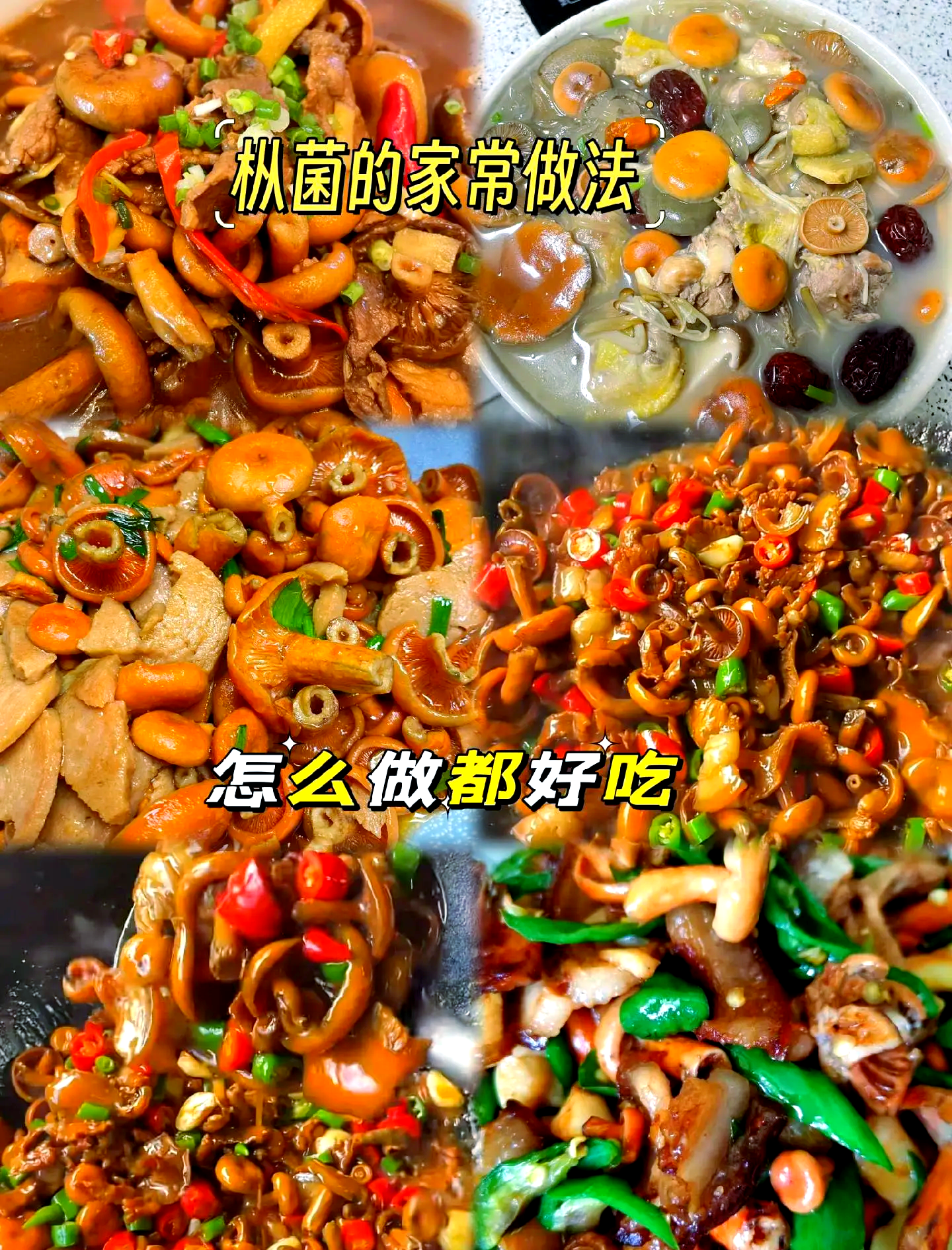 菌的家常做法(金耳菌的家常做法)