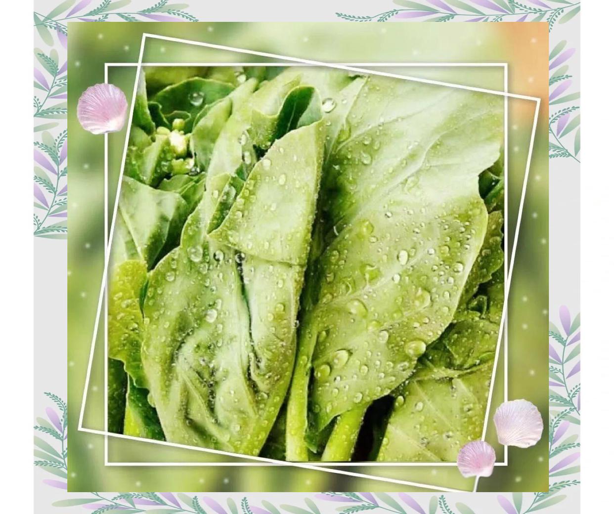 芥兰黄豆凉菜(芥兰黄豆的营养价值)