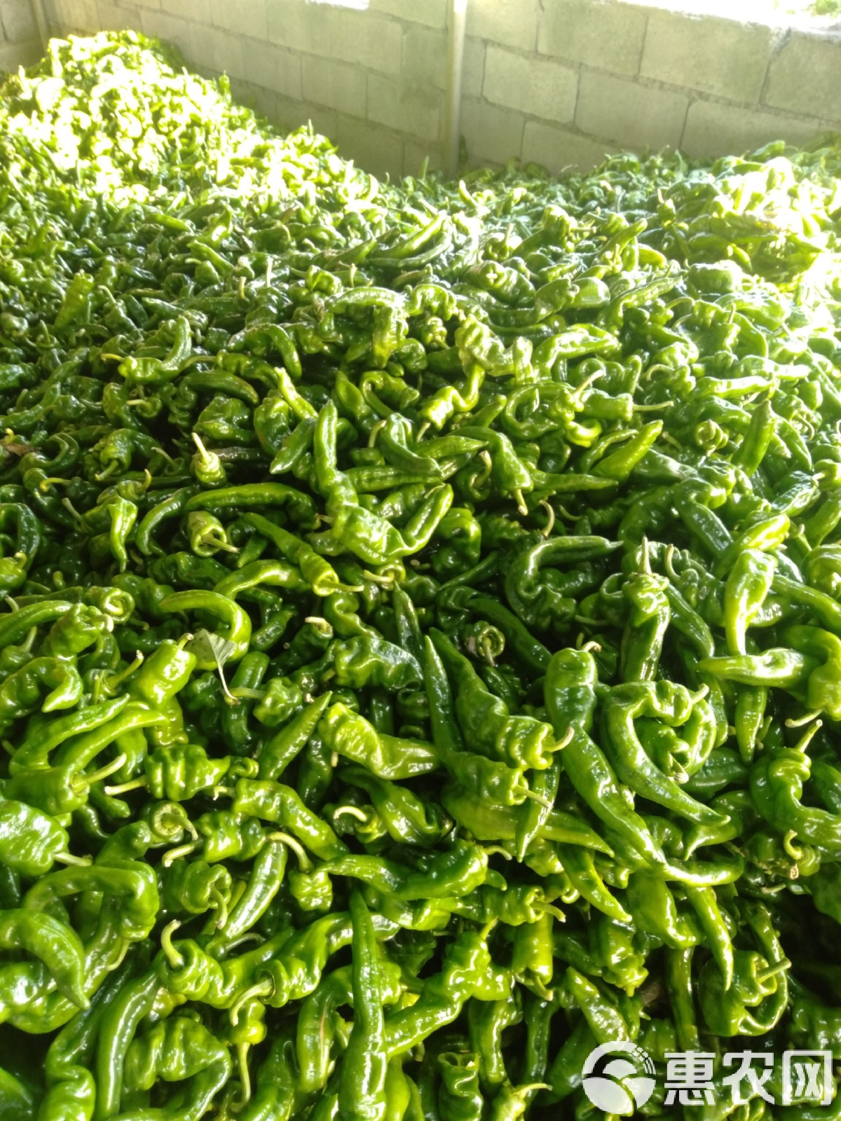 海南特色辣椒(海南特色辣椒酱有哪些)