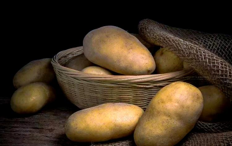 土豆是素菜还是荤菜(土豆是素菜还是荤菜好) 土豆是素菜还是荤菜(土豆是素菜还是荤菜好)