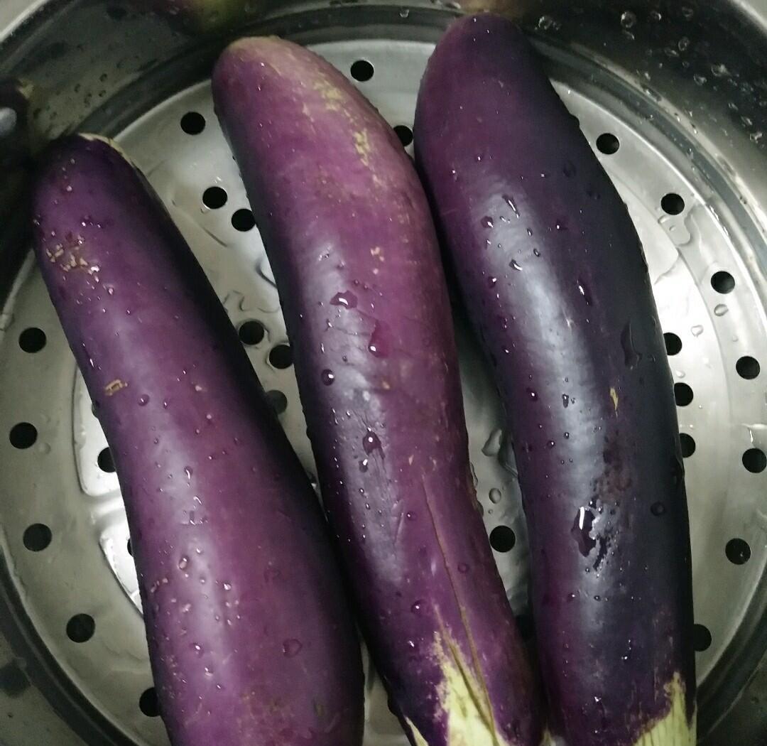 茄子香菜凉菜(茄子香菜凉菜怎么做)