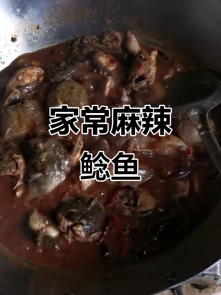 鲶鱼家常(鲶鱼家常做法炖茄子)
