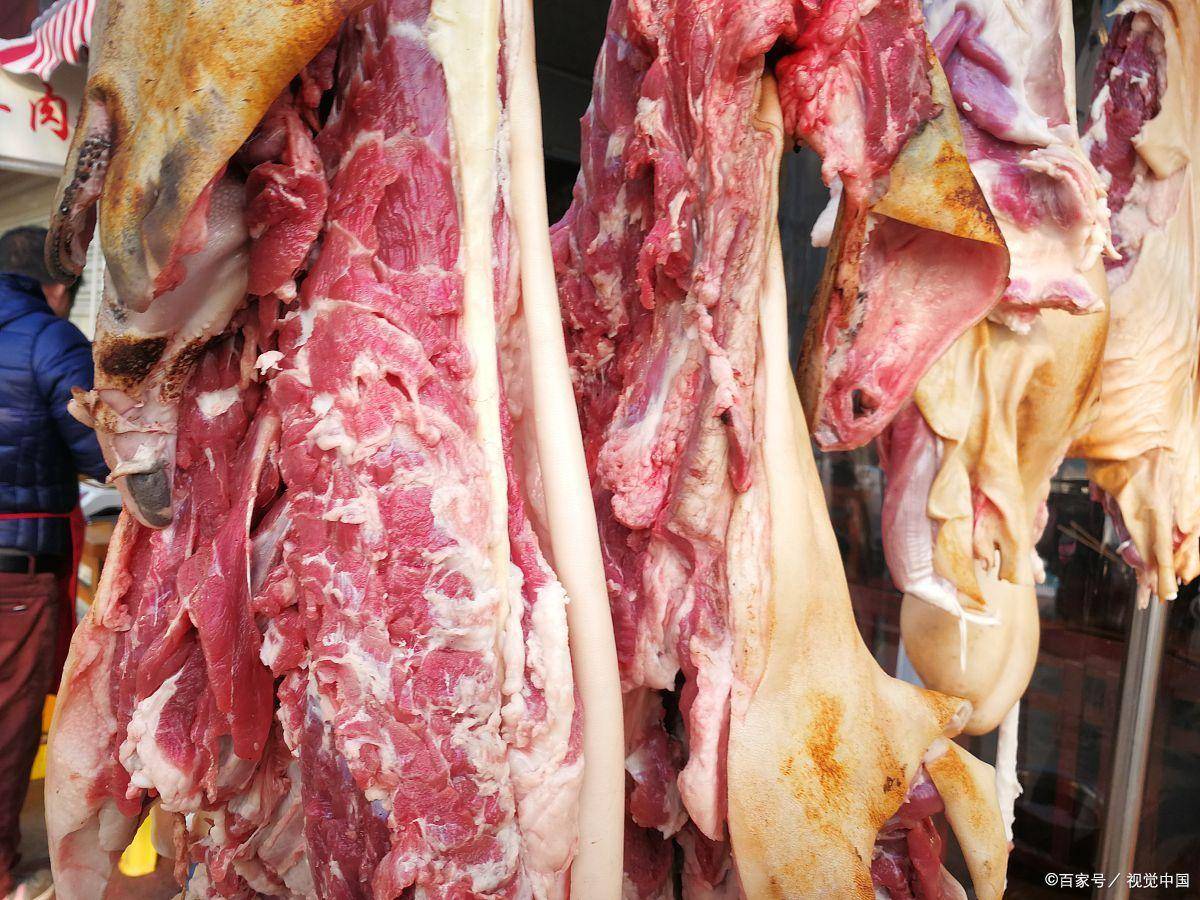 羊肉是素菜(羊肉算荤菜吗)