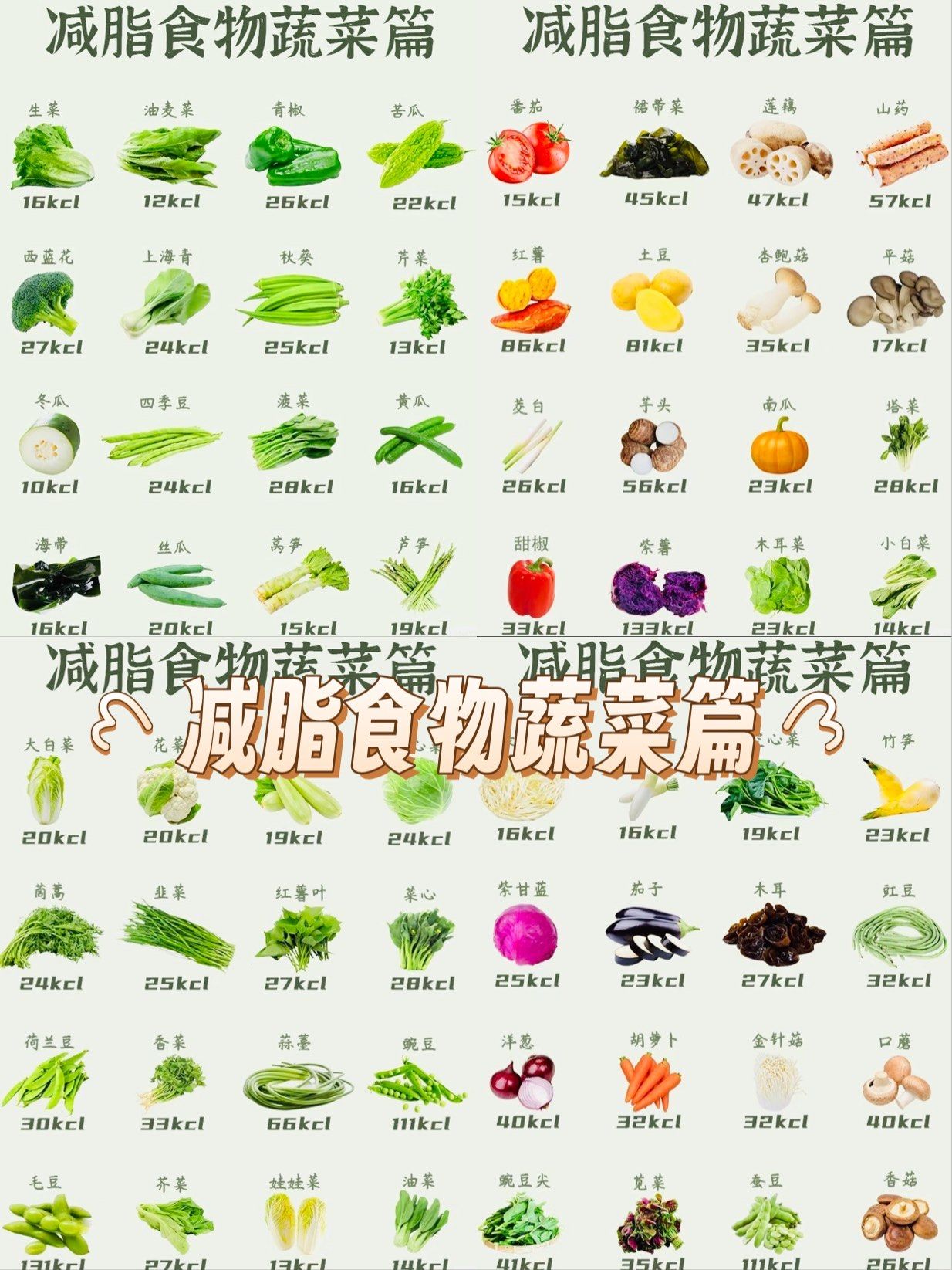 有什么素菜能代替肉类(吃什么蔬菜可以代替肉类营养)