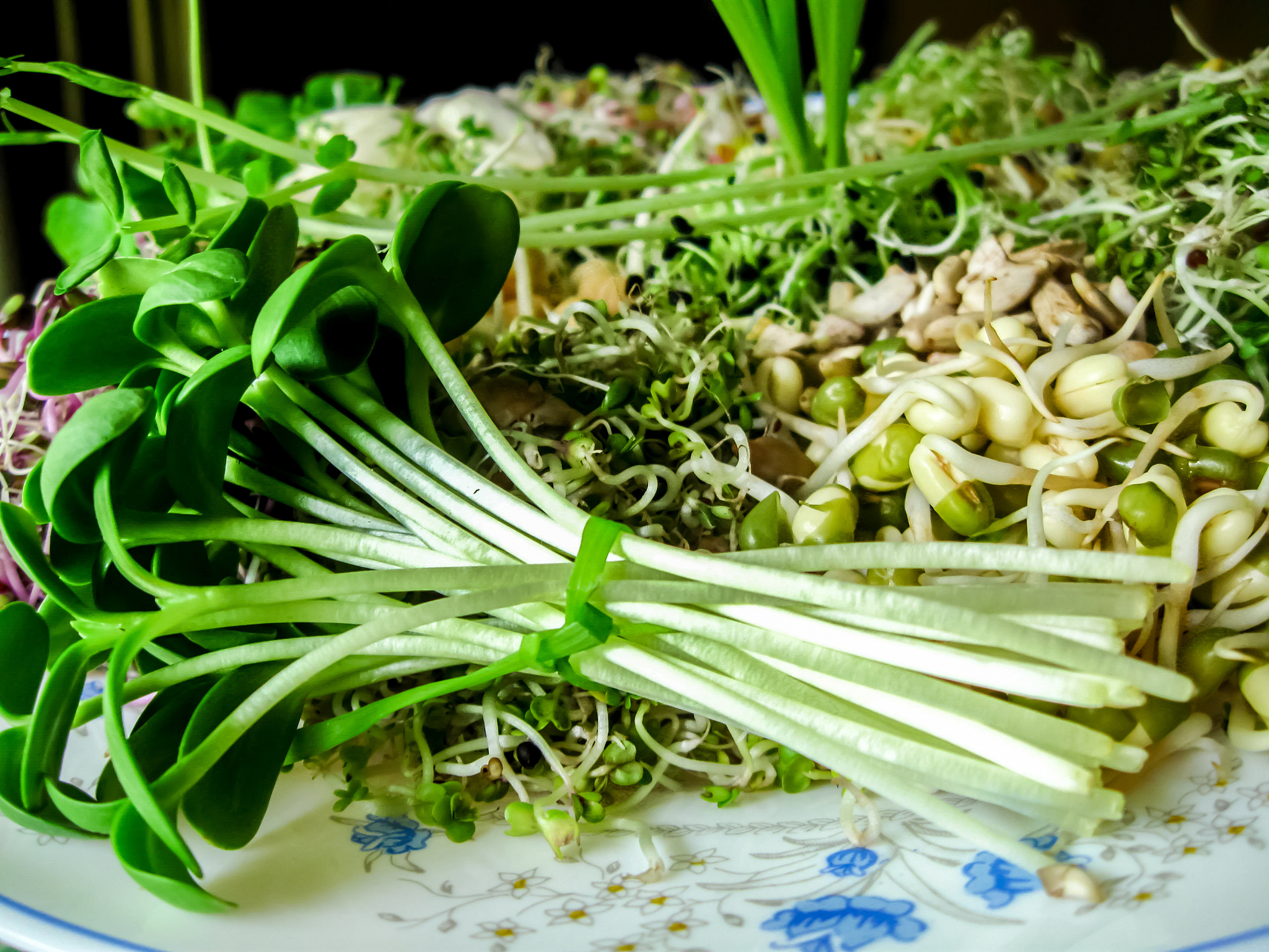 春季素菜大全(春节素菜大全2018)