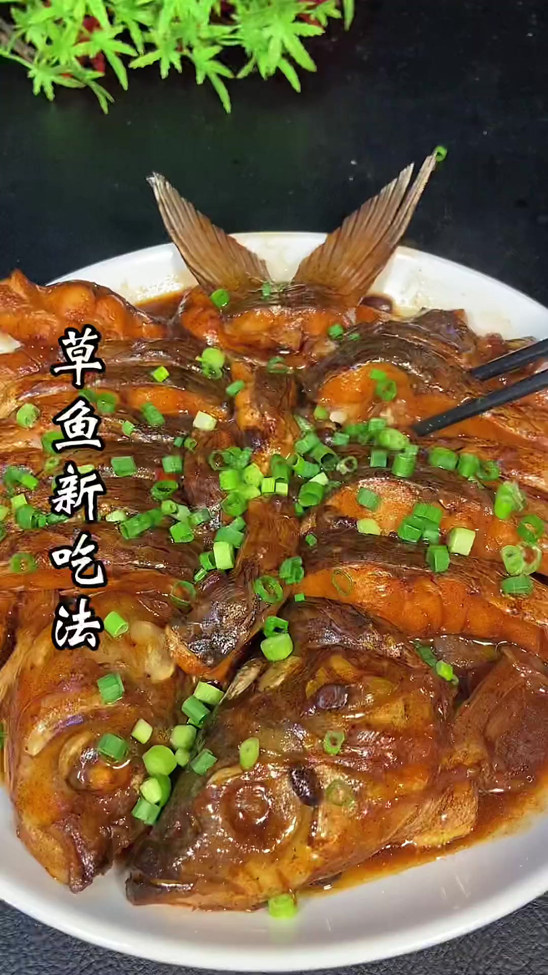 凉菜草鱼的做法(家常菜草鱼的做法) 凉菜草鱼的做法(家常菜草鱼的做法)