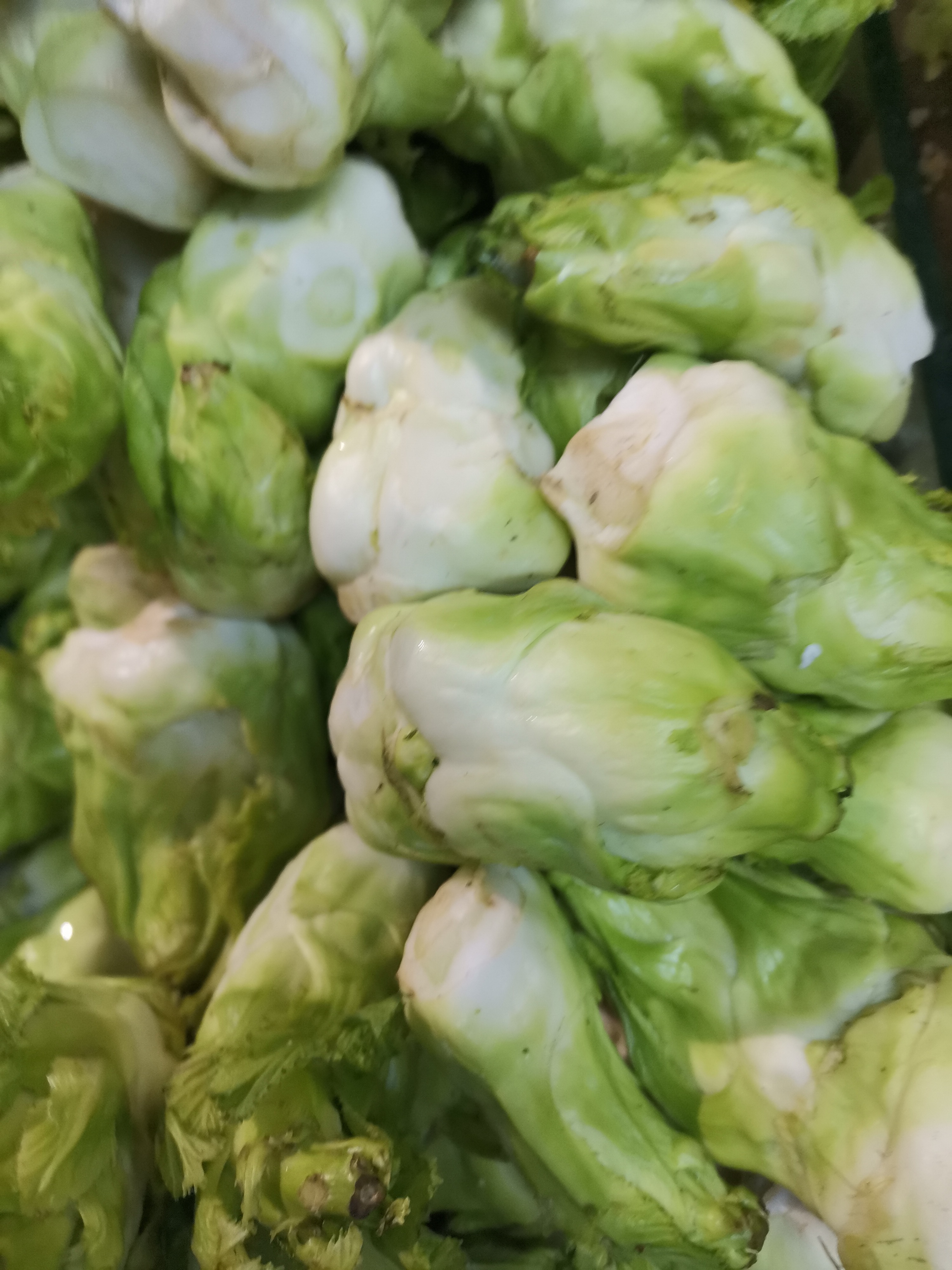 素菜中的耳菜(耳菜有什么营养)