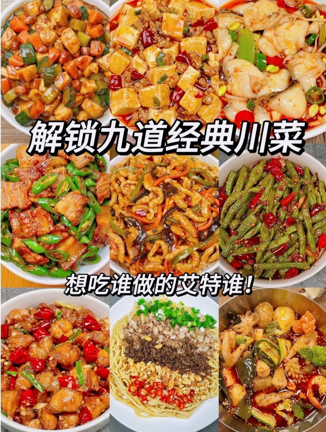 川菜菜谱家常菜做法(川菜菜谱大全家常菜窍门)