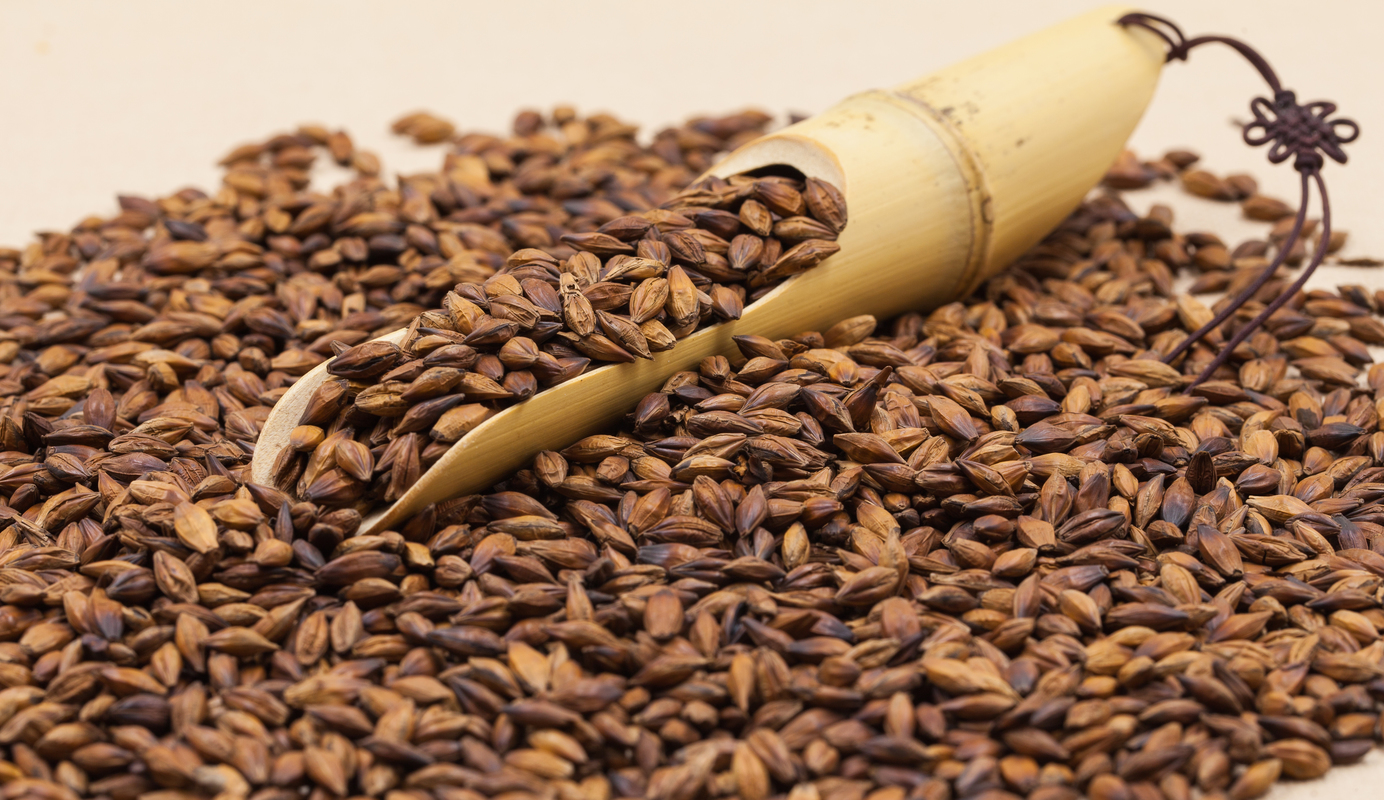 韩国特色大麦茶(韩国大麦茶品牌排行)