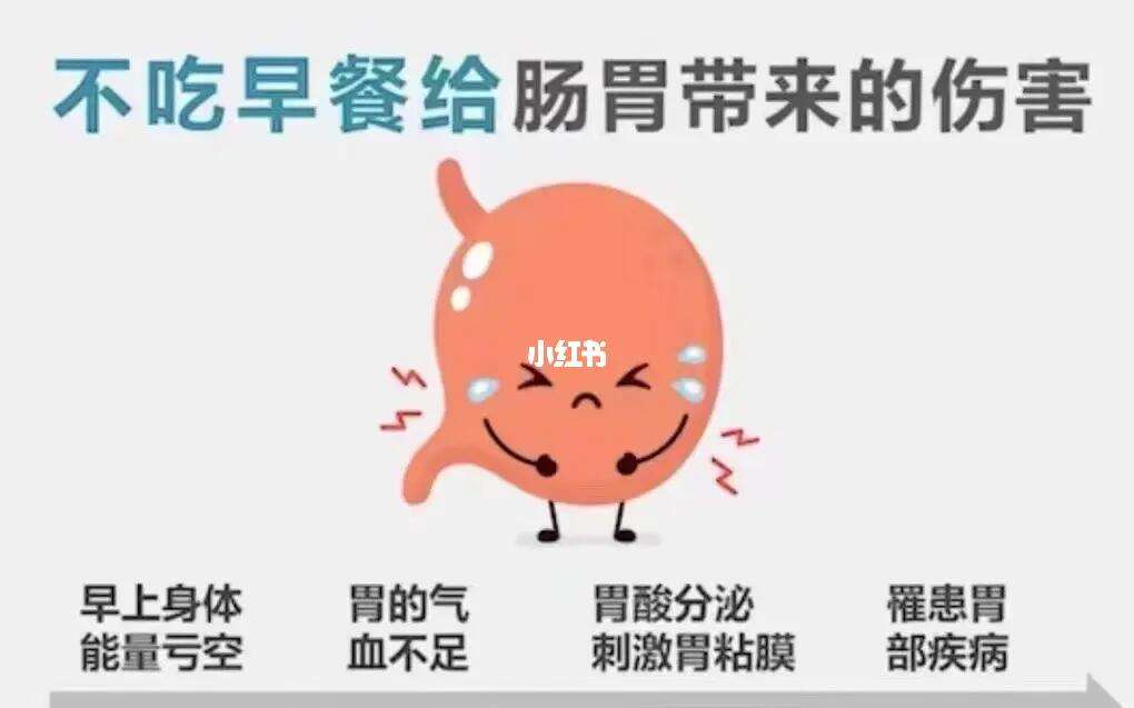 不吃早餐坏处(不吃早餐对身体危害) 不吃早餐坏处(不吃早餐对身体危害)