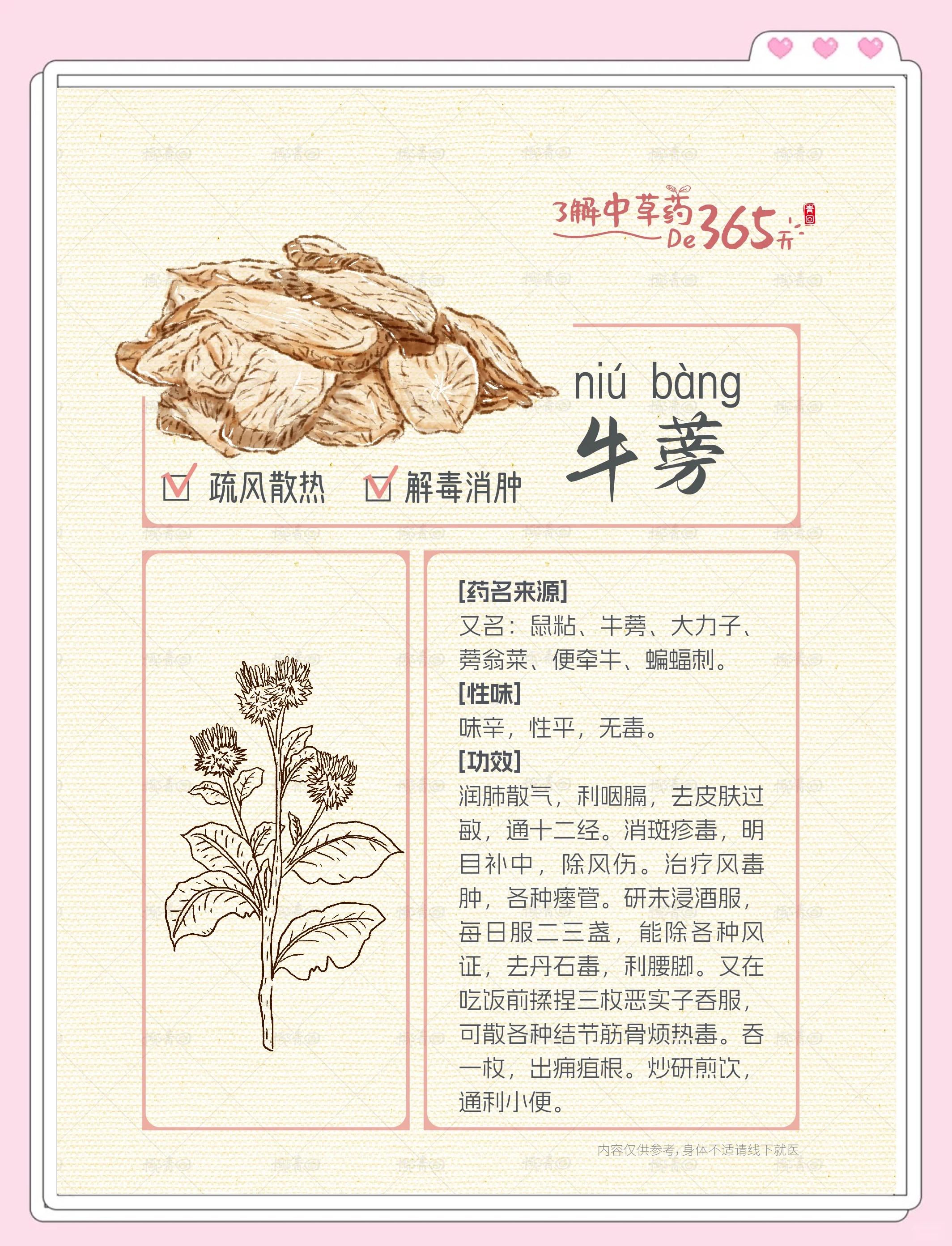 牛蒡做凉菜(牛蒡怎么凉拌吃最好)