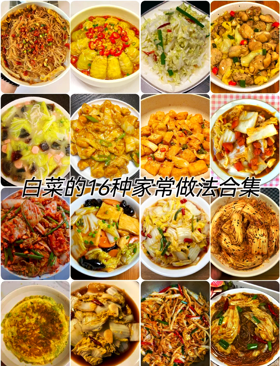 家常洛阳白菜的做法(洛阳白菜怎么做好吃视频)