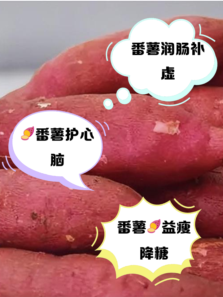 早餐吃番薯好吗(早餐吃番薯的好处) 早餐吃番薯好吗(早餐吃番薯的好处)