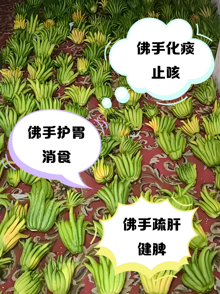 佛教素菜菜名(佛教的素菜是指哪些)