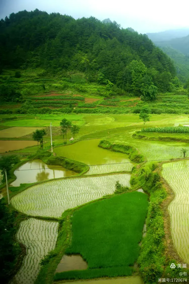 田园印象特色(田园印象怎么样)