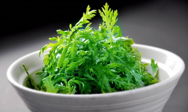 绿绿的凉菜(有一种凉菜绿色的吃起来脆脆的)