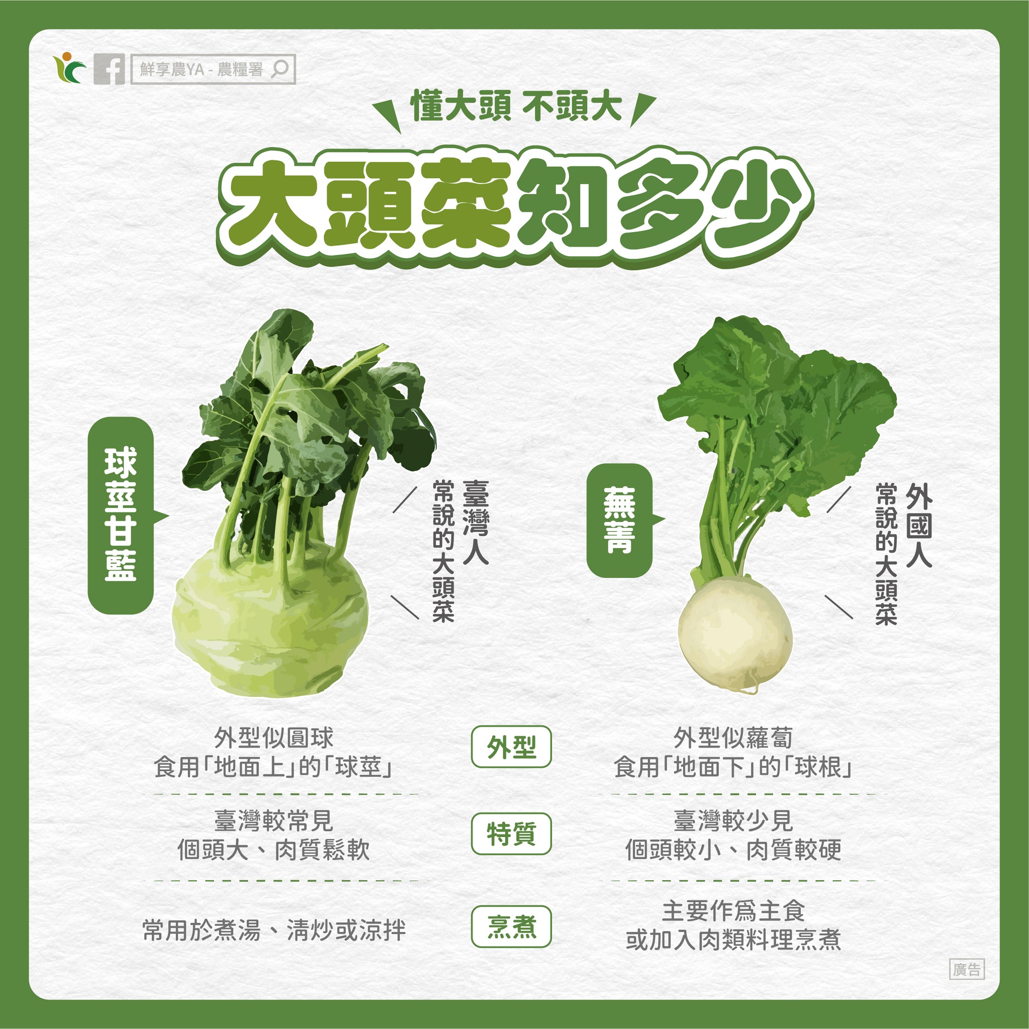 大头菜素菜做法大全家常(大头菜素菜做法大全家常窍门)