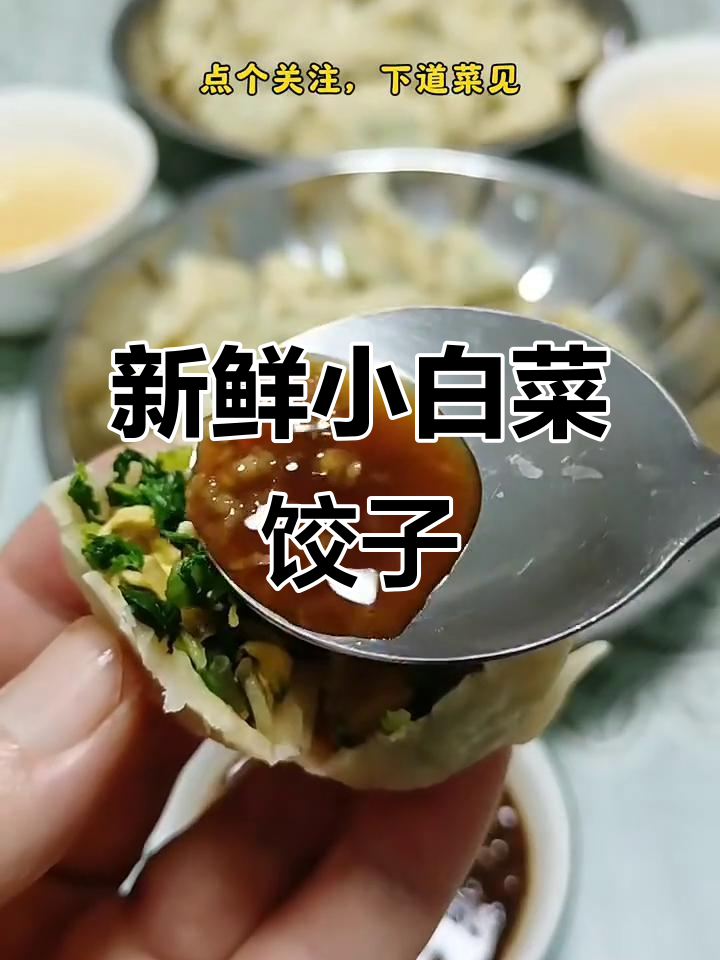 素菜包饺子好吃(素菜包饺子好吃吗怎么做)