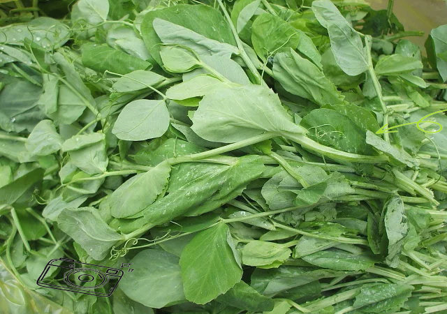 冬天素菜大全(冬季家常素菜100道)