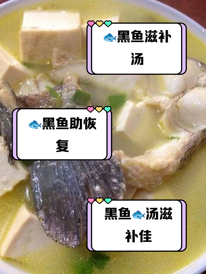 清汤黑鱼做法大全家常(清炖黑鱼汤怎么做好喝又营养)