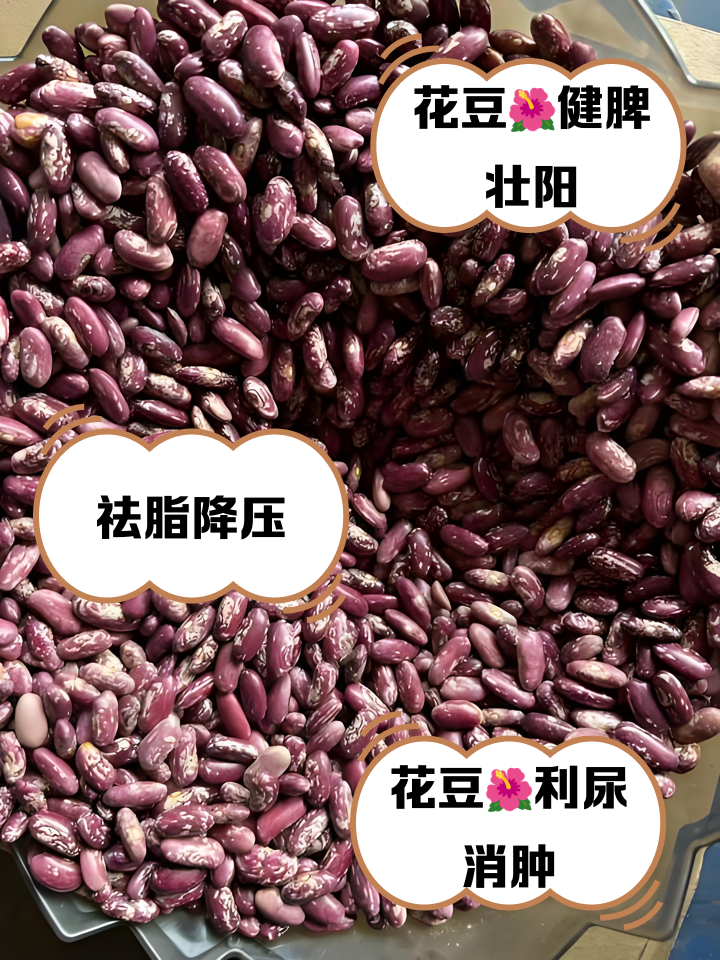 大花豆的做法大全家常(大花豆的做法大全家常视频) 大花豆的做法大全家常(大花豆的做法大全家常视频)