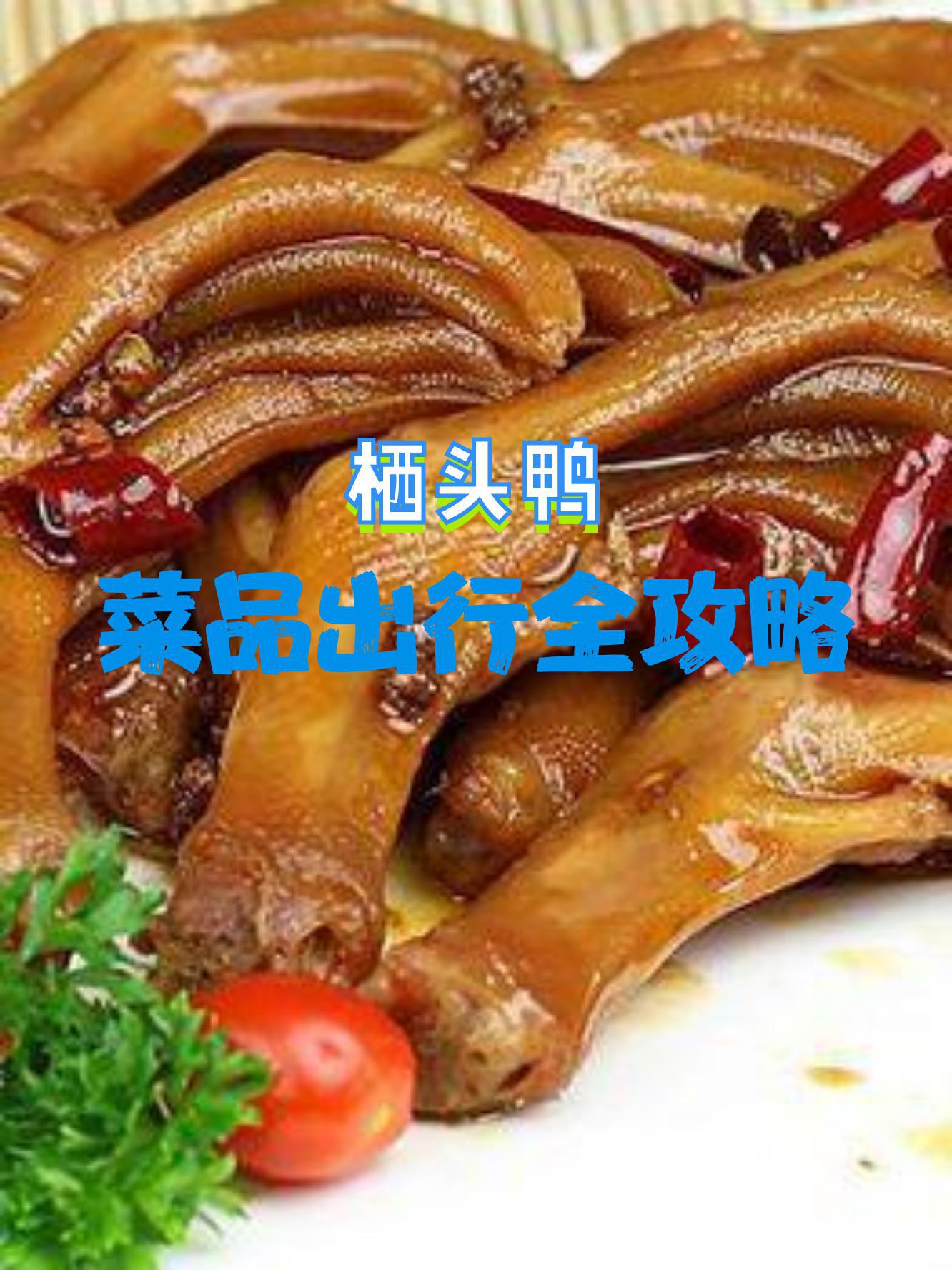 鸭肉是素菜吗(鸭肉属于荤腥吗)