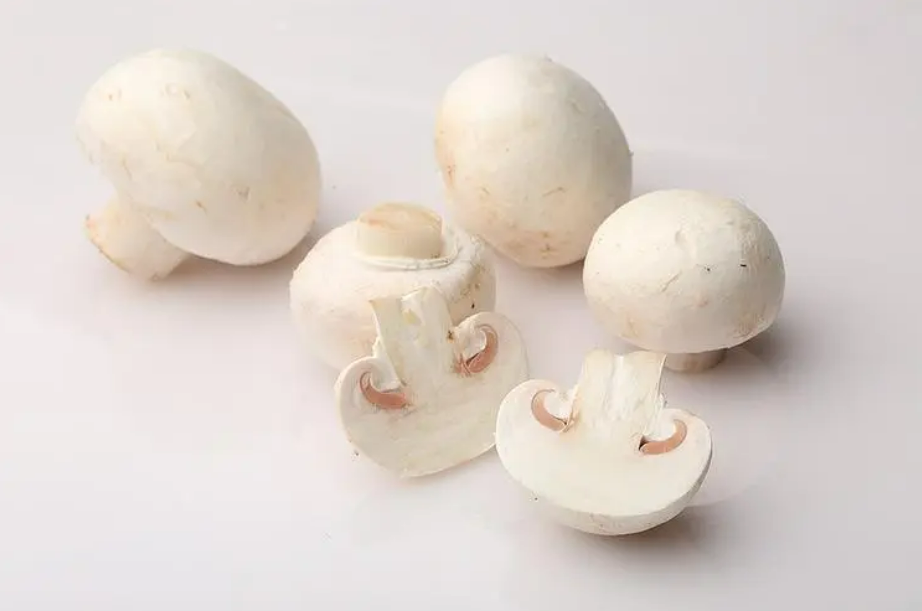 小吃白蘑菇(吃白蘑菇的做法)