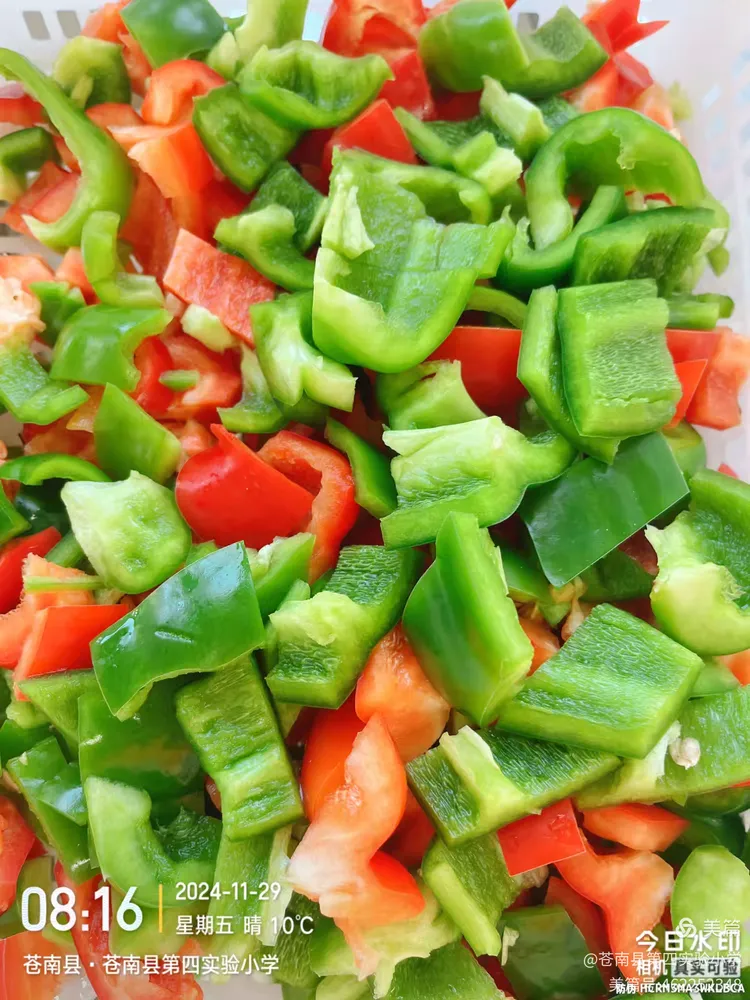 制作素菜(如何做素菜12道菜)