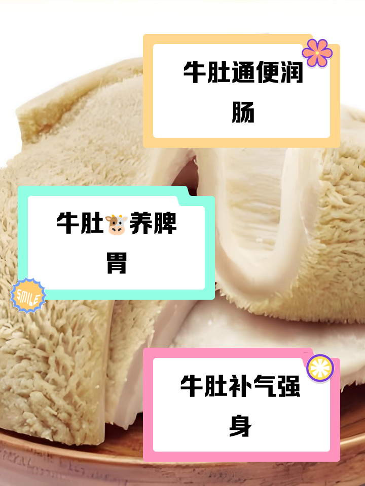 牛肚怎么调凉菜(牛肚怎么调凉菜窍门)