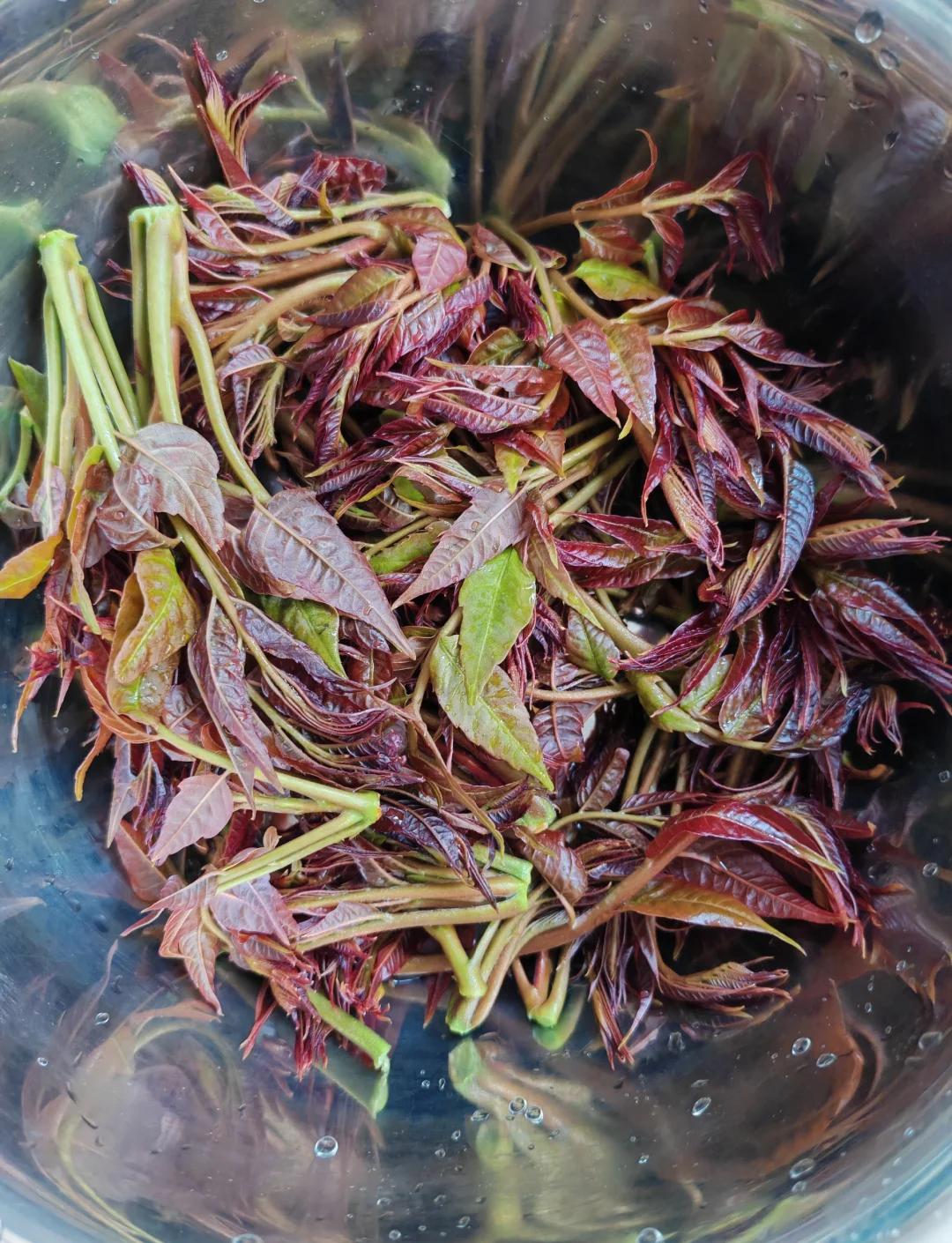 家常春饼的做法(春饼家庭做法视频) 家常春饼的做法(春饼家庭做法视频)