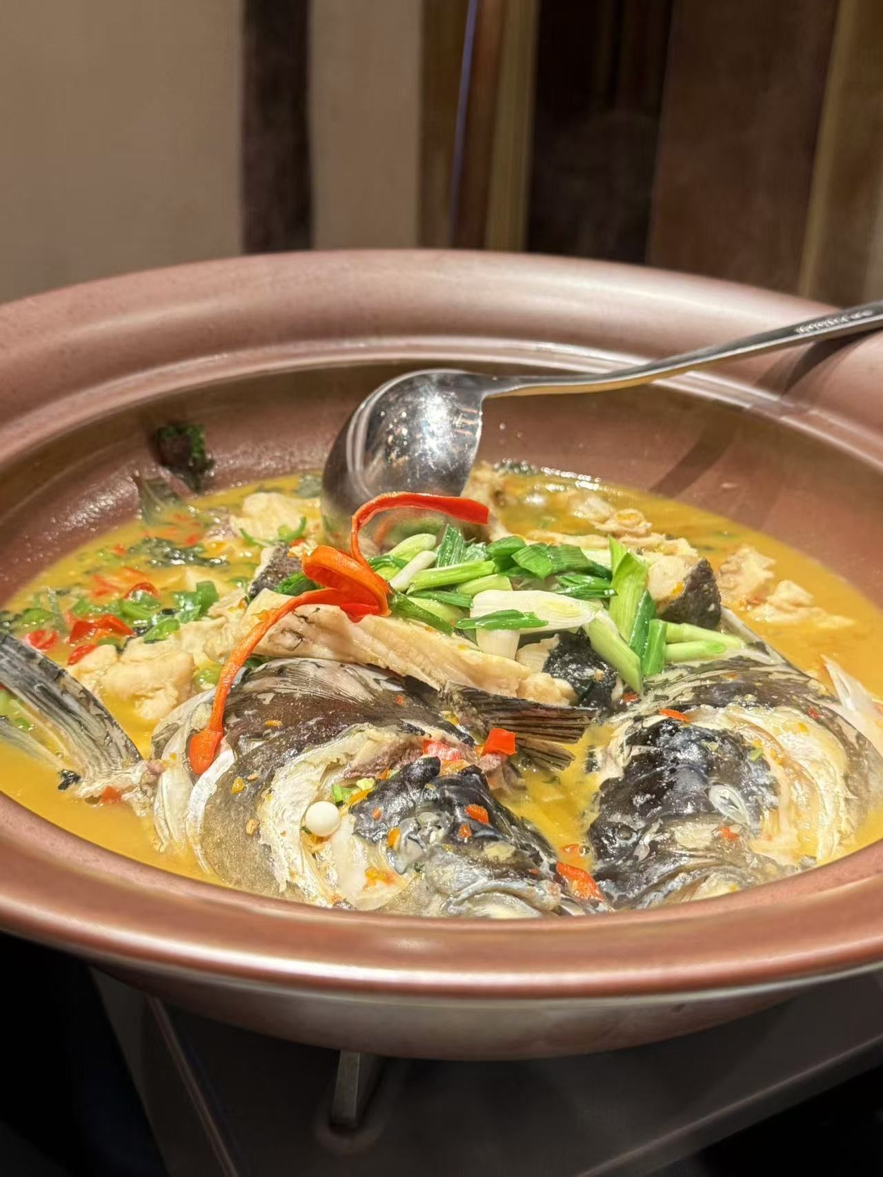 柴锅特色鱼头做法(柴锅特色鱼头做法视频)