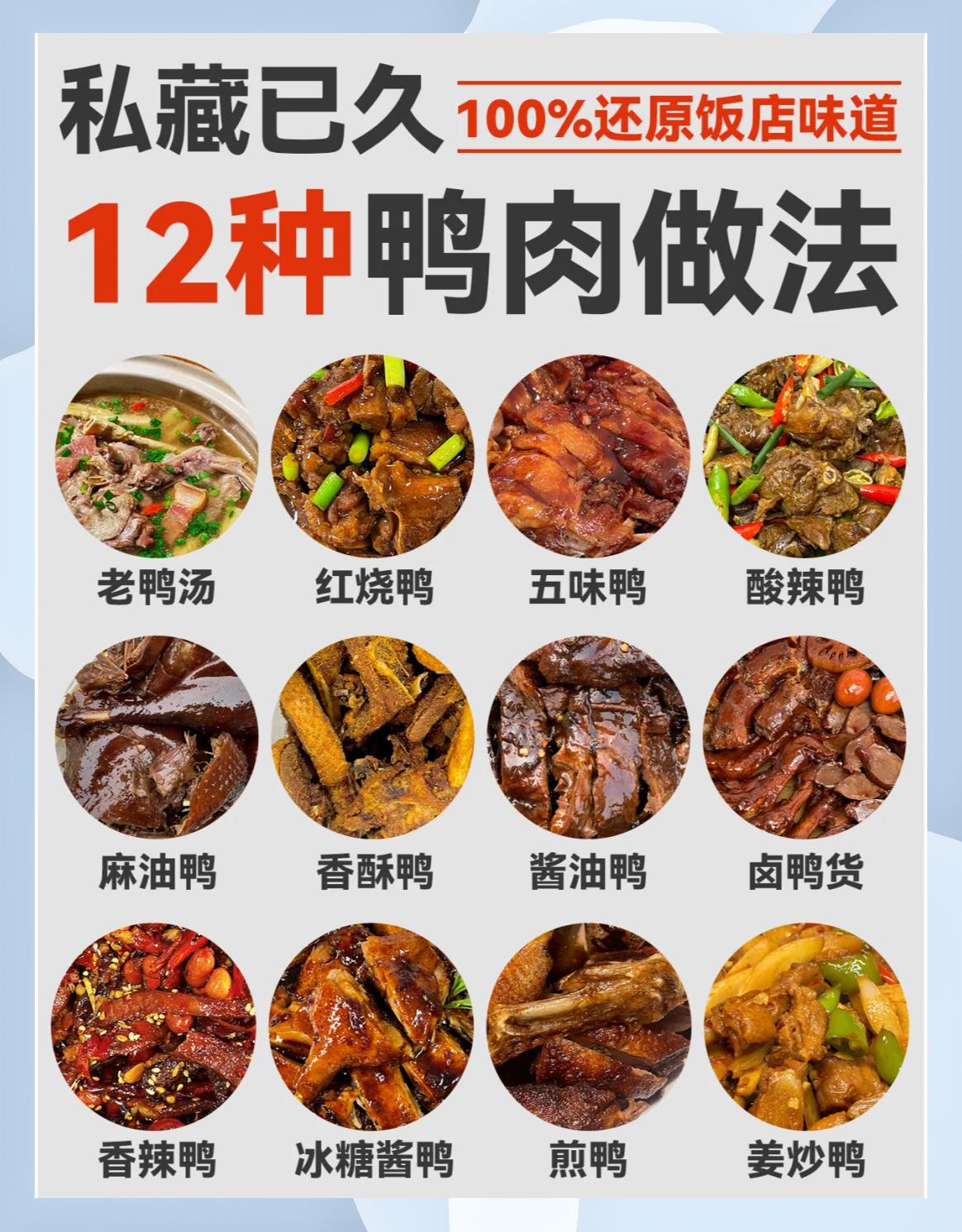 鸭肉汤的做法大全家常(鸭肉汤的做法大全家常视频)