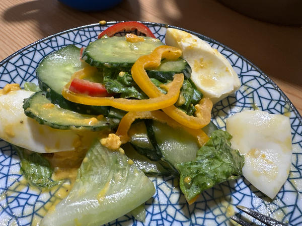 素菜色拉用什么油(色拉油做什么菜好吃)