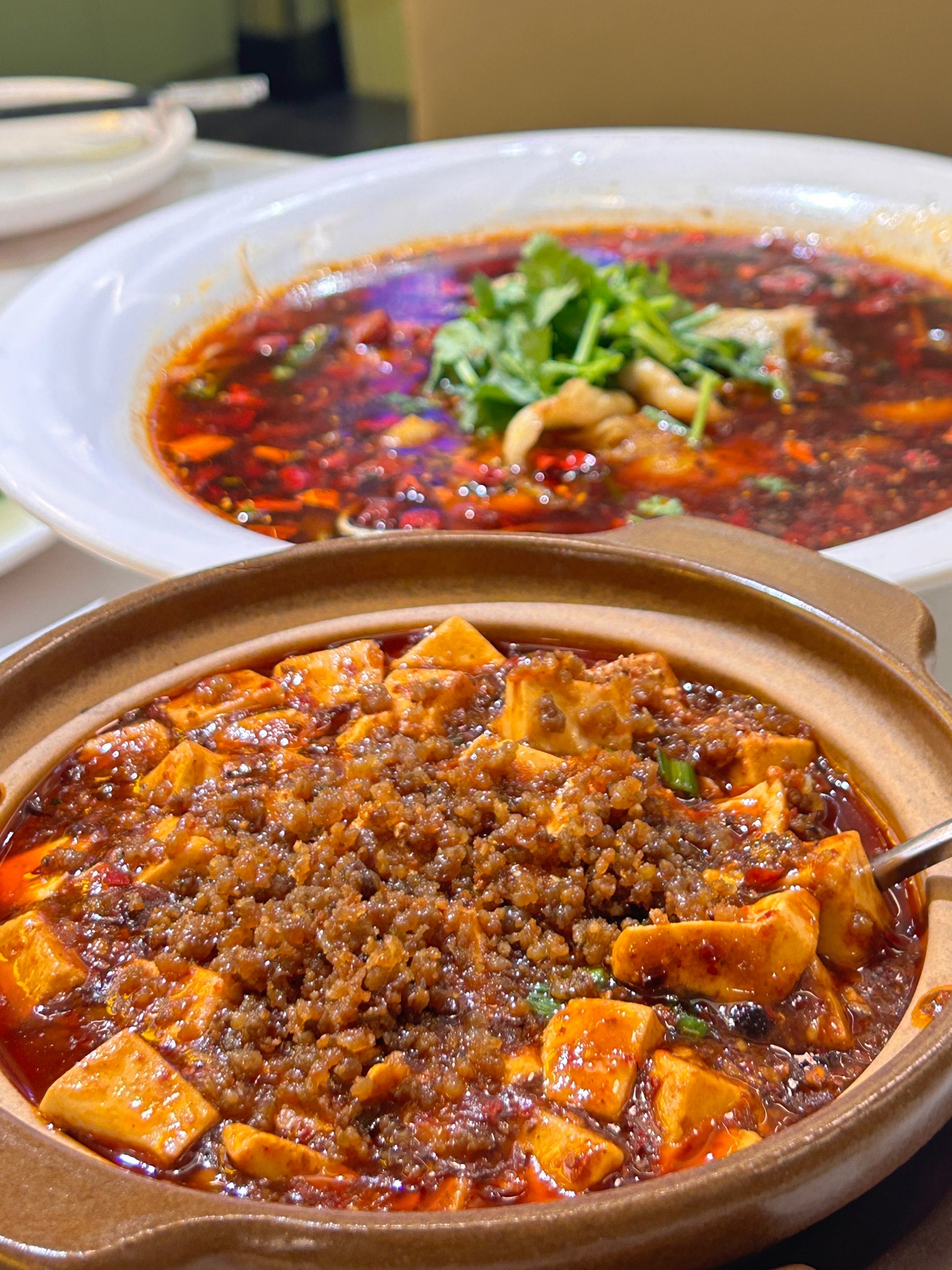 四川菜图片家常菜(四川菜家常菜做法大全窍门)