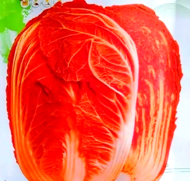 大白菜特色(大白菜的口感) 大白菜特色(大白菜的口感)