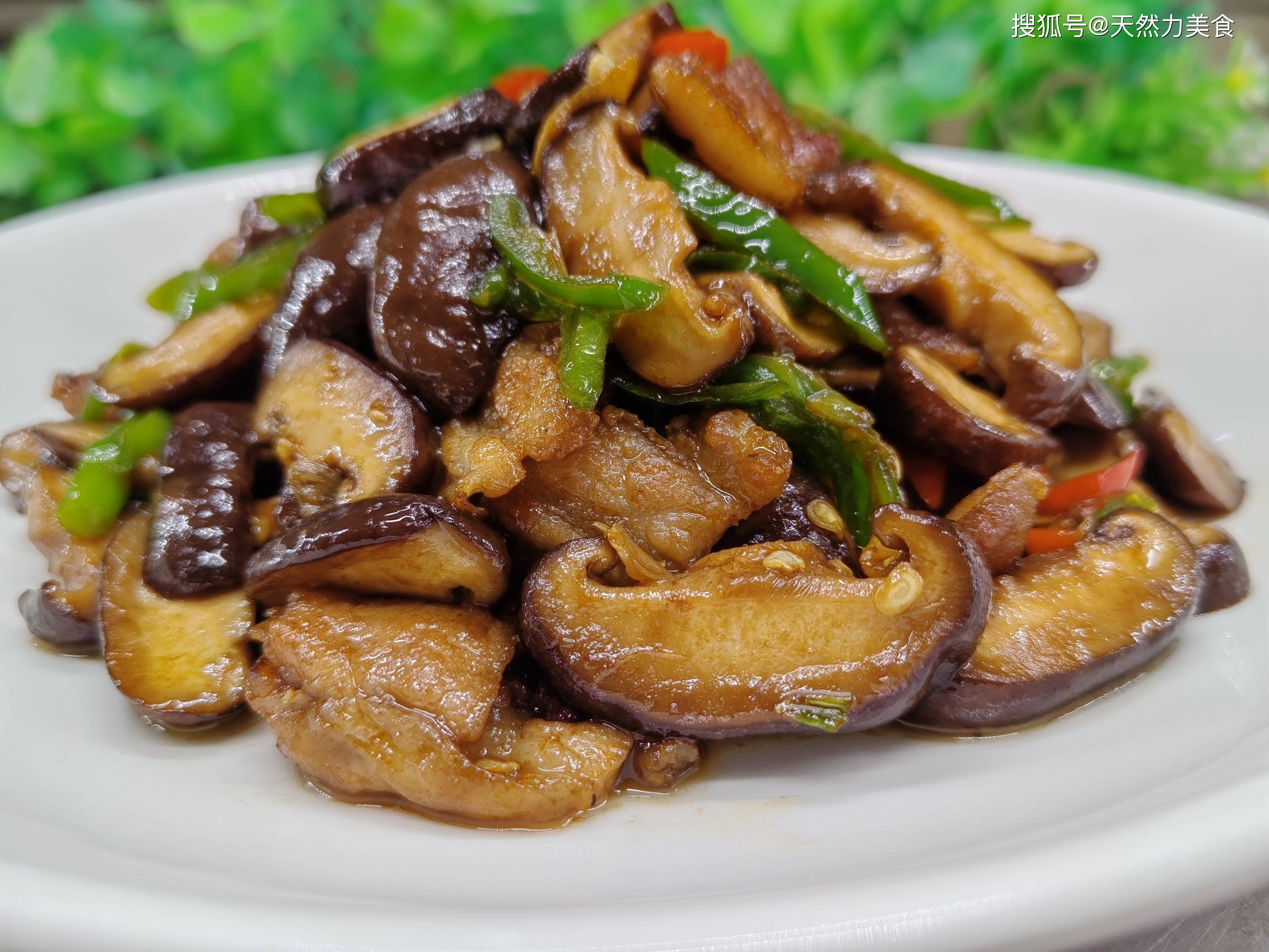 香菇特色菜肴(香菇的菜谱大全)